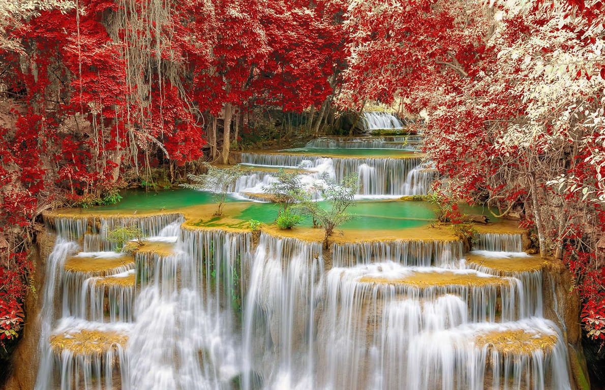 ky quan ruc ro anh 8