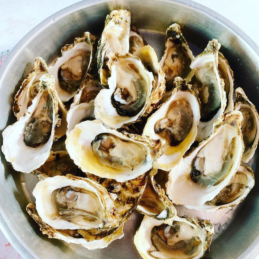 mon hai san song anh 5