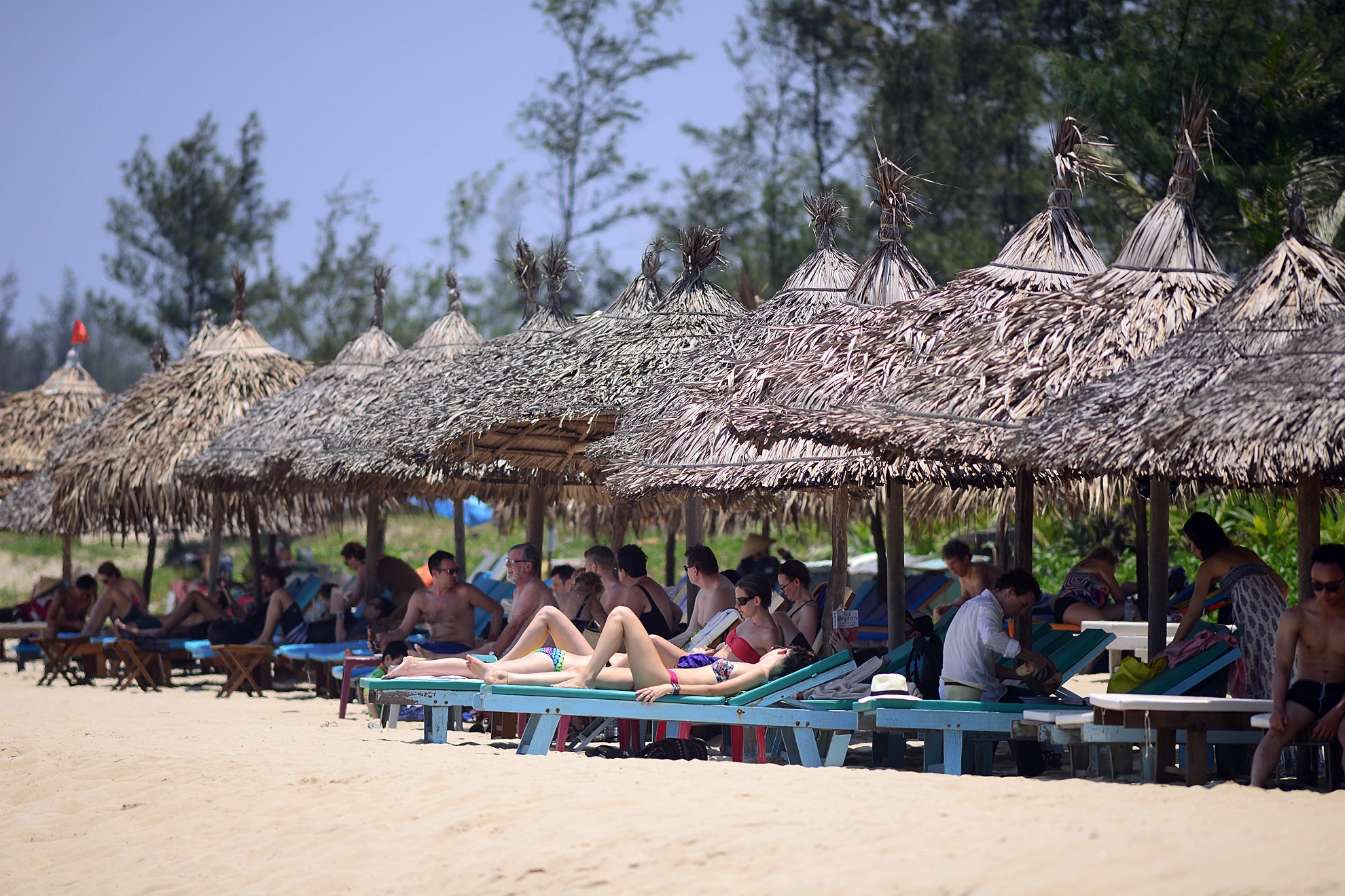 Việt Nam ảnh 4 Viet Nam anh 4