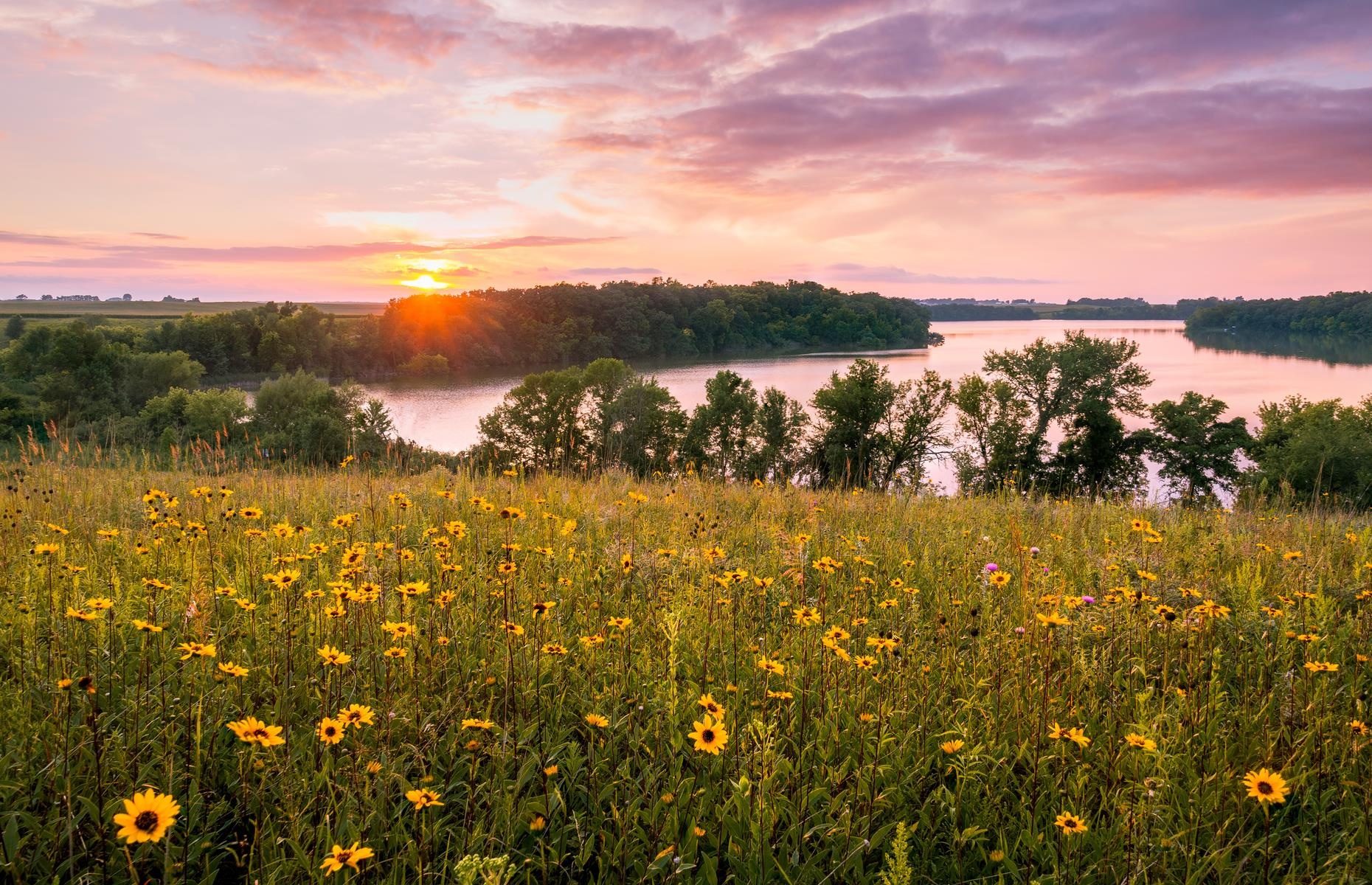 ky luc nhiet do anh 4