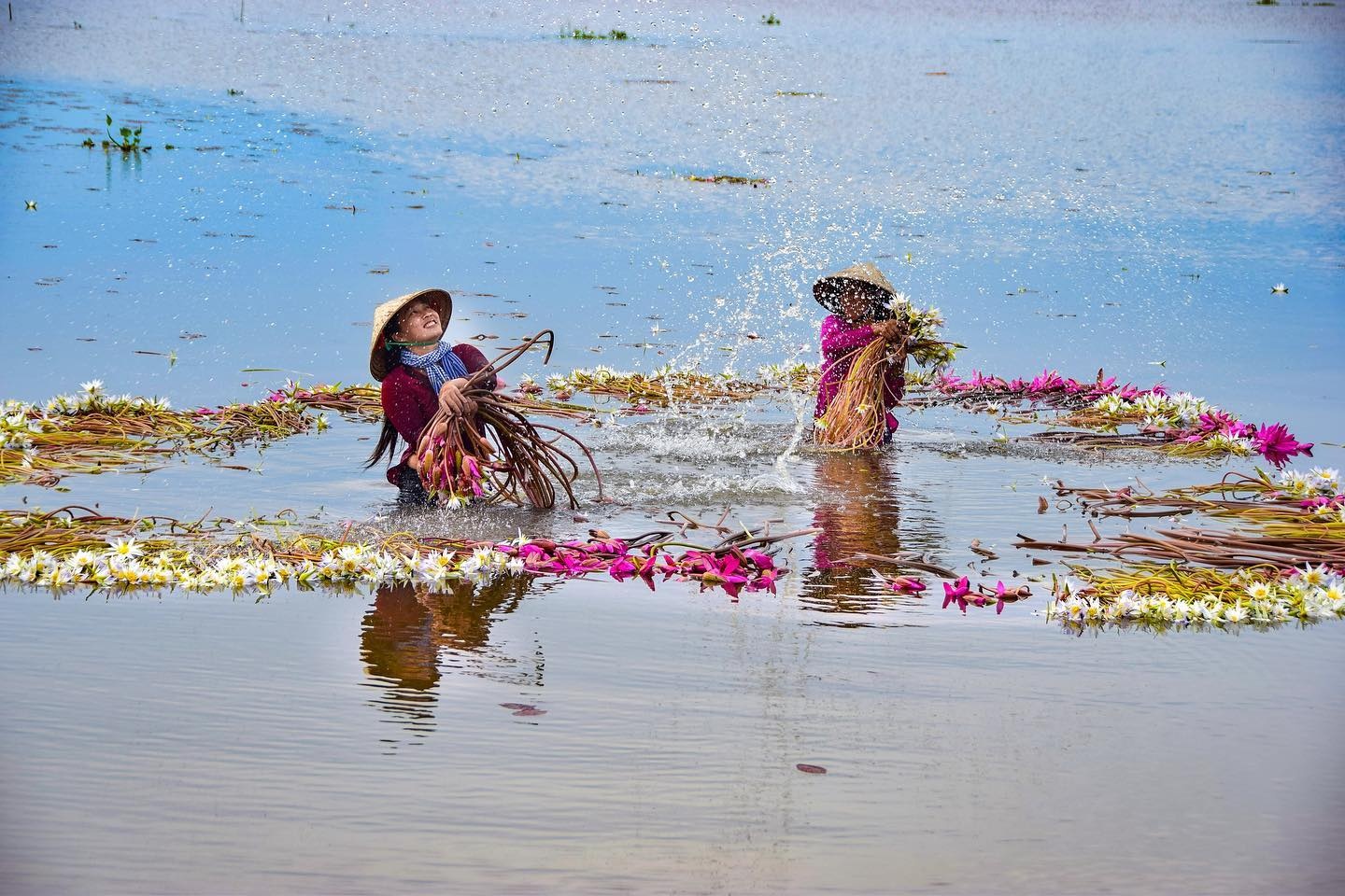 xem ca loc bay anh 5