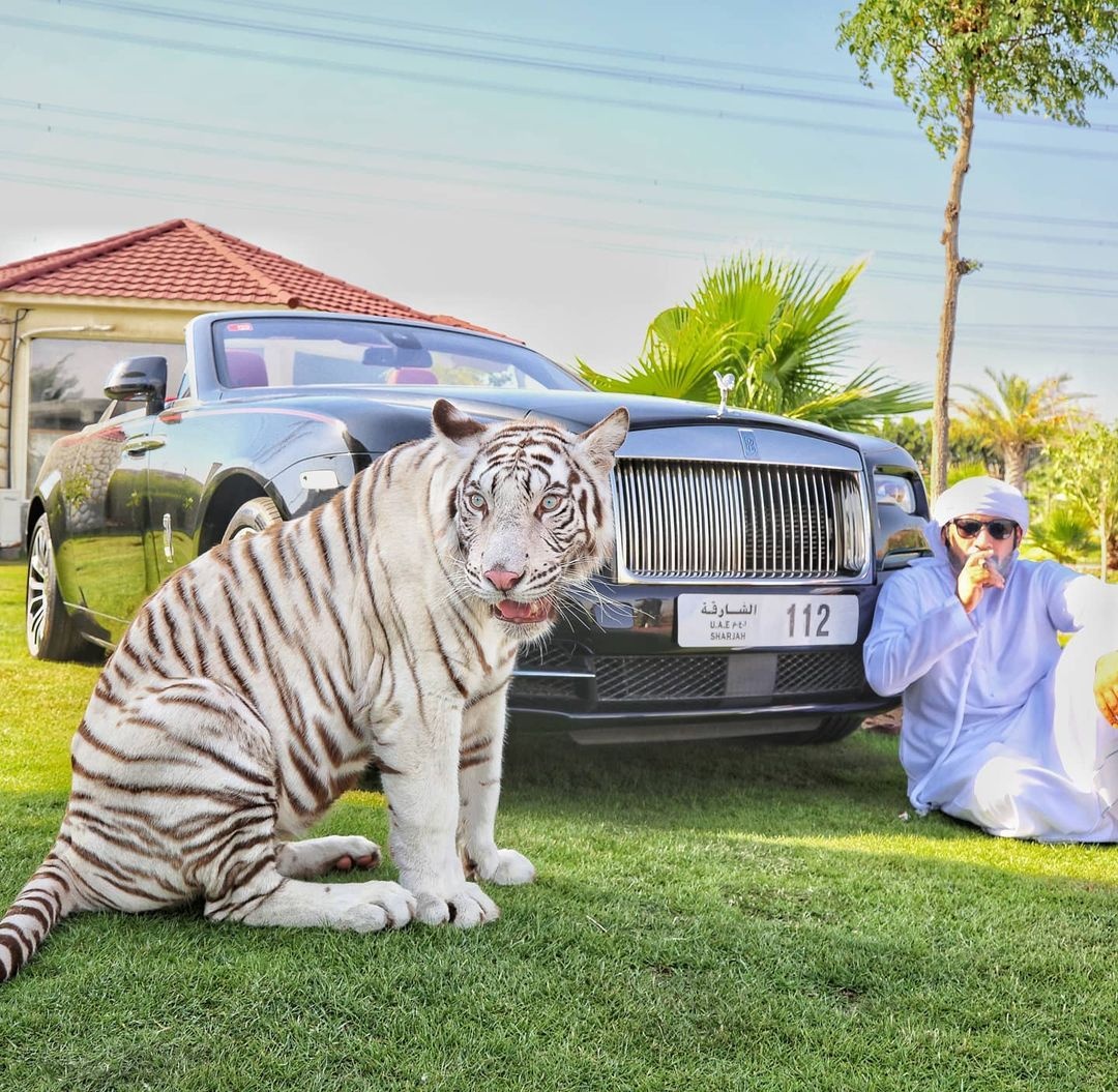điều thú vị về UAE ảnh 11 dieu thu vi ve UAE anh 11