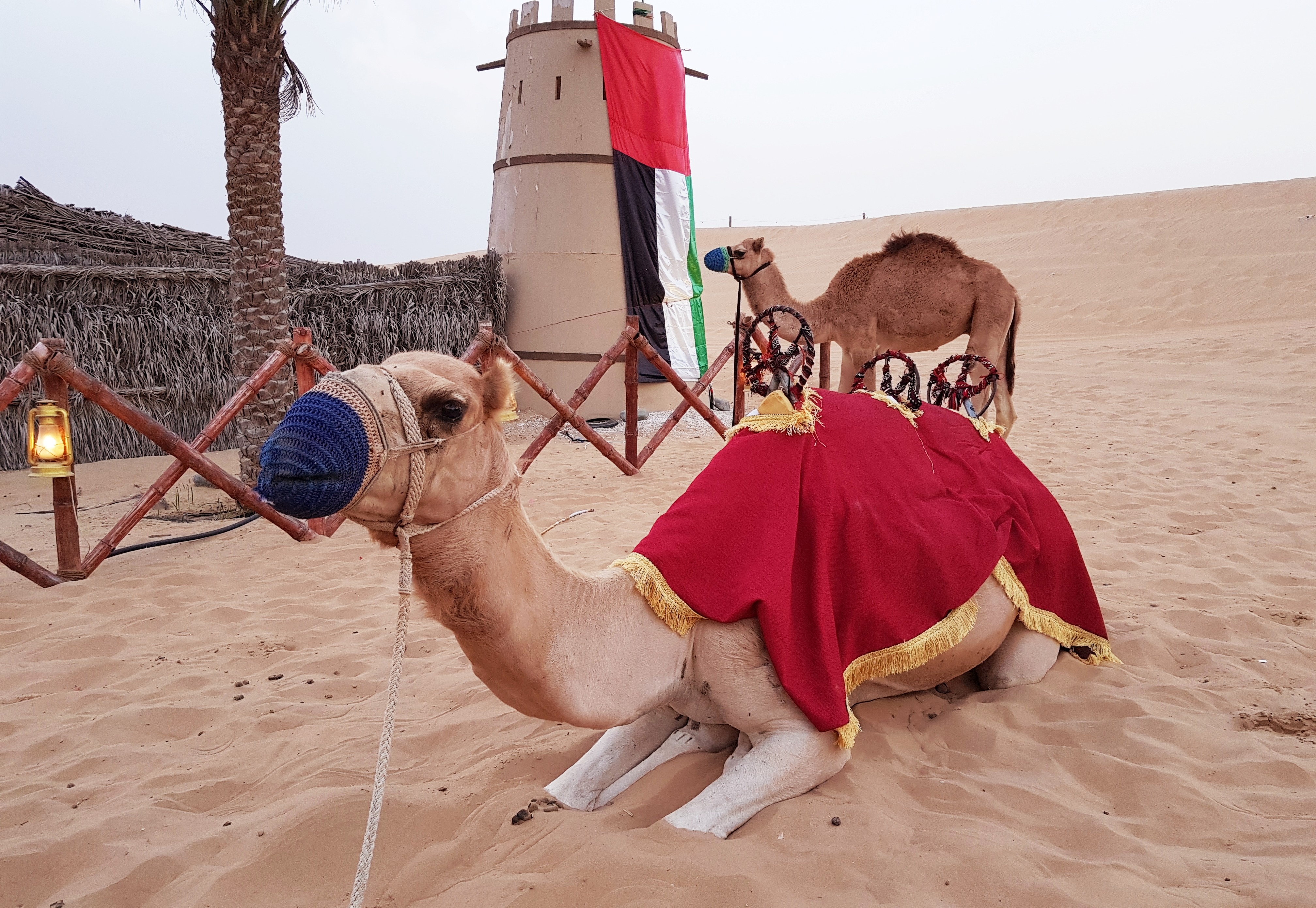 điều thú vị về UAE ảnh 9 dieu thu vi ve UAE anh 9