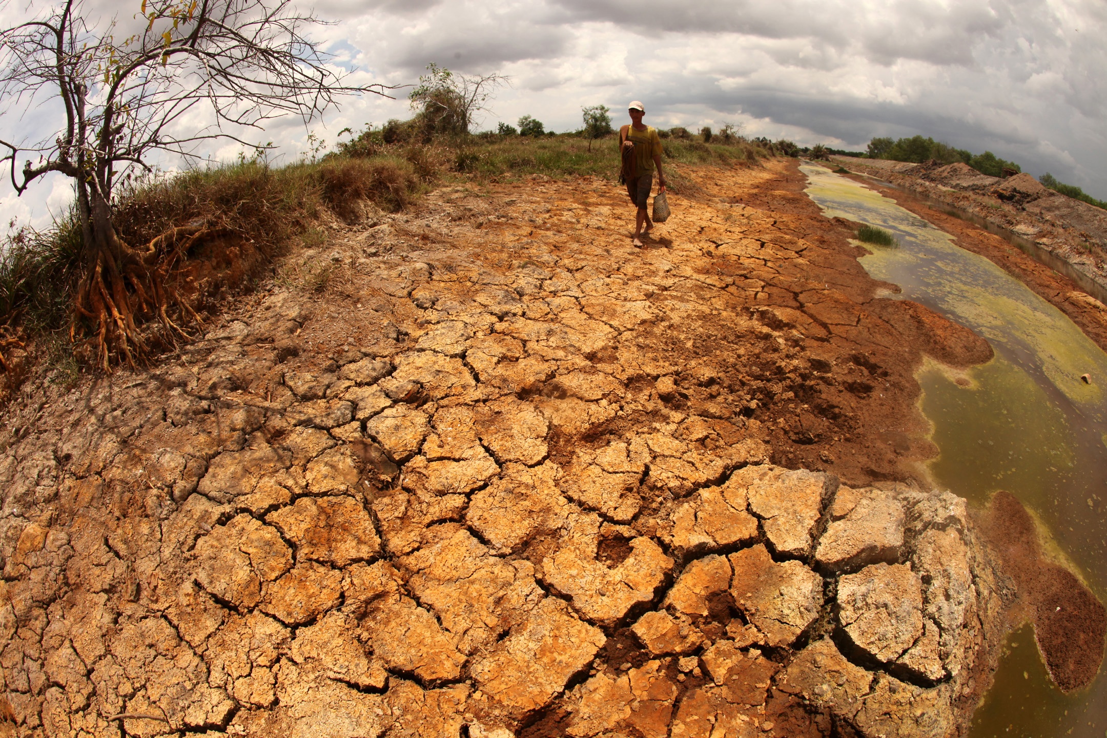 Han man xam nhap Dong Thap Muoi, nuoc dau nguon van chua ve hinh anh