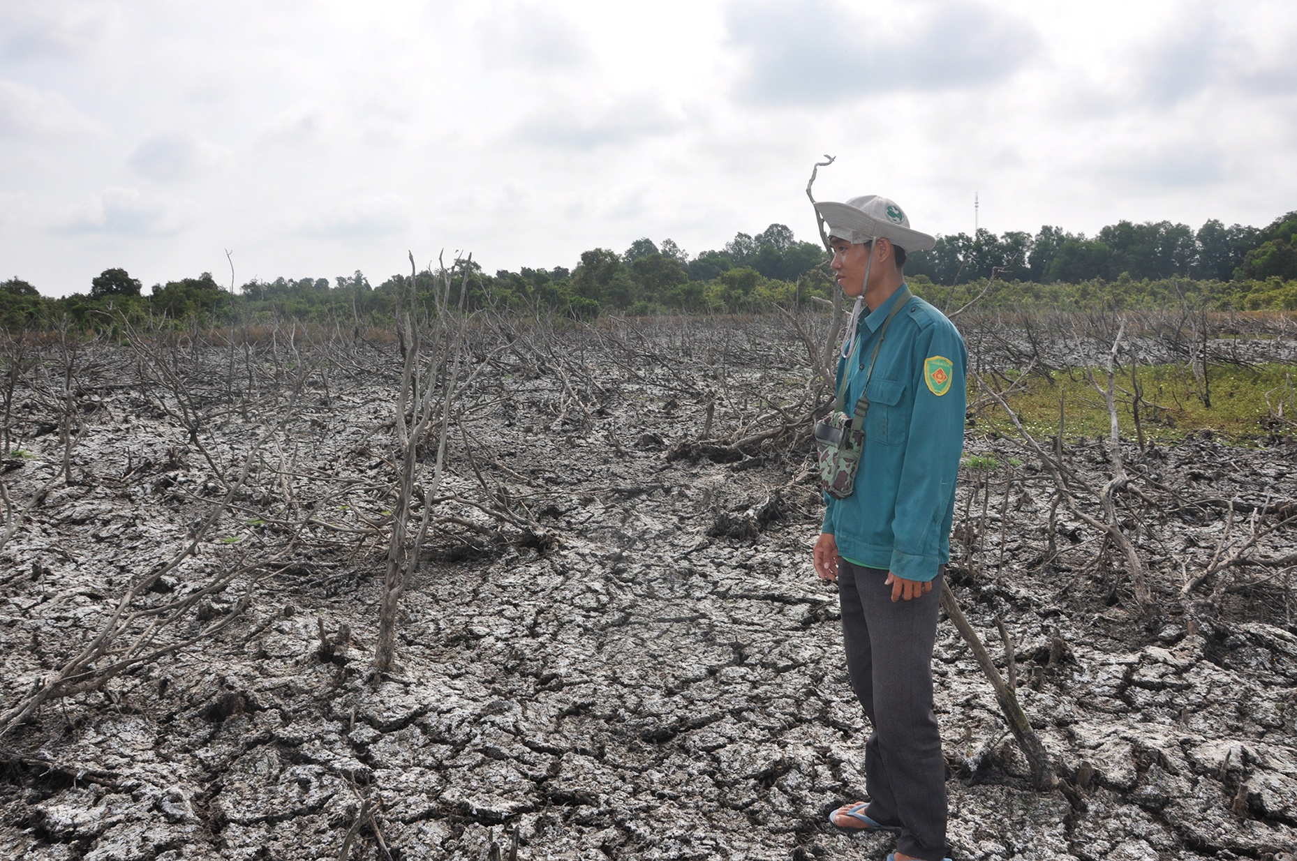 Ca chet kho trong Khu bao ton anh 1
