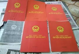 Nu pho chu tich xa su dung so do gia vay 600 trieu hinh anh