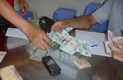 pha truong ga trong vuon dua anh 2