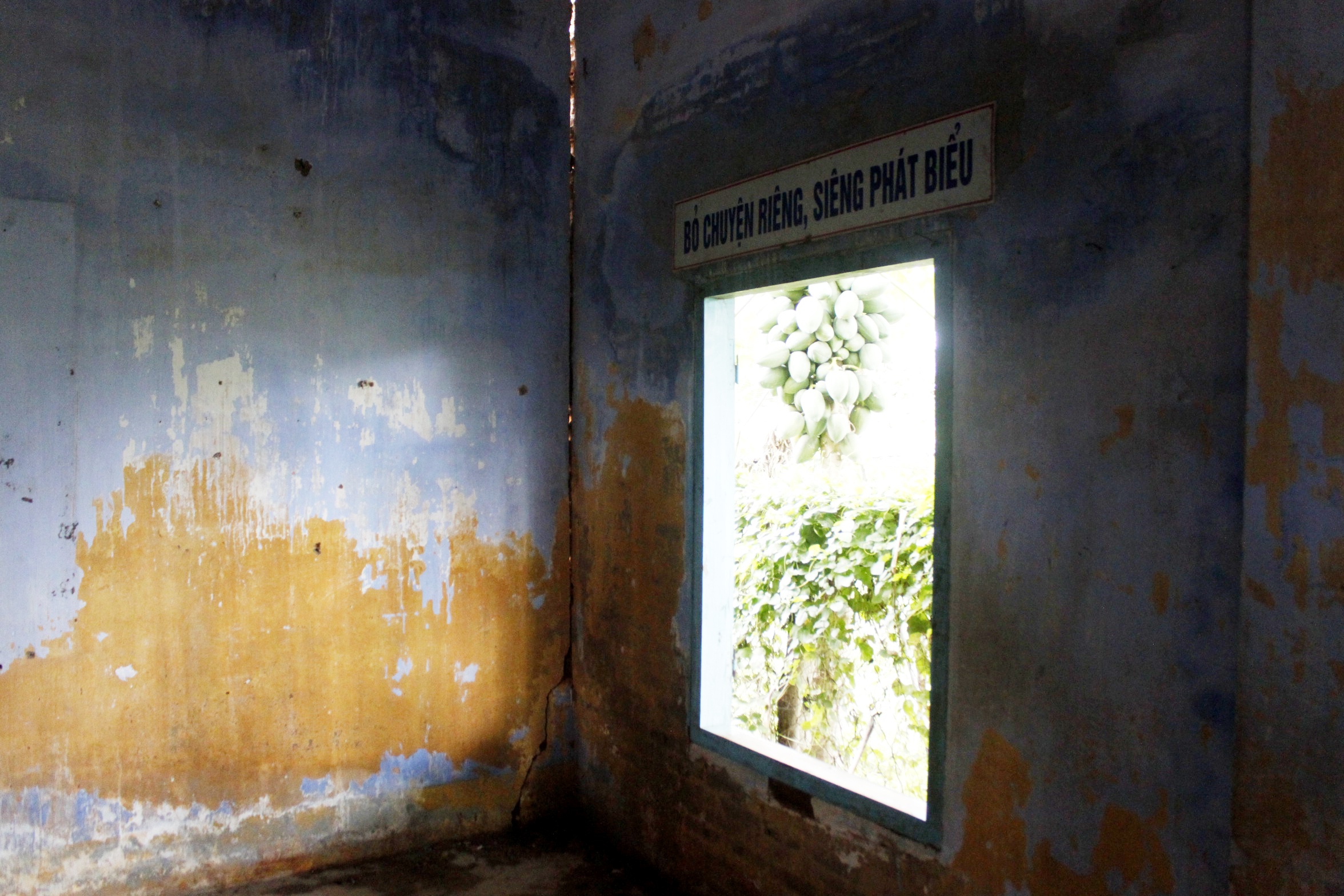 Hoc trong kho lua giong anh 2