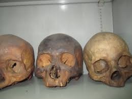 Ngu dan Binh Thuan vot duoc so nguoi tren bien hinh anh