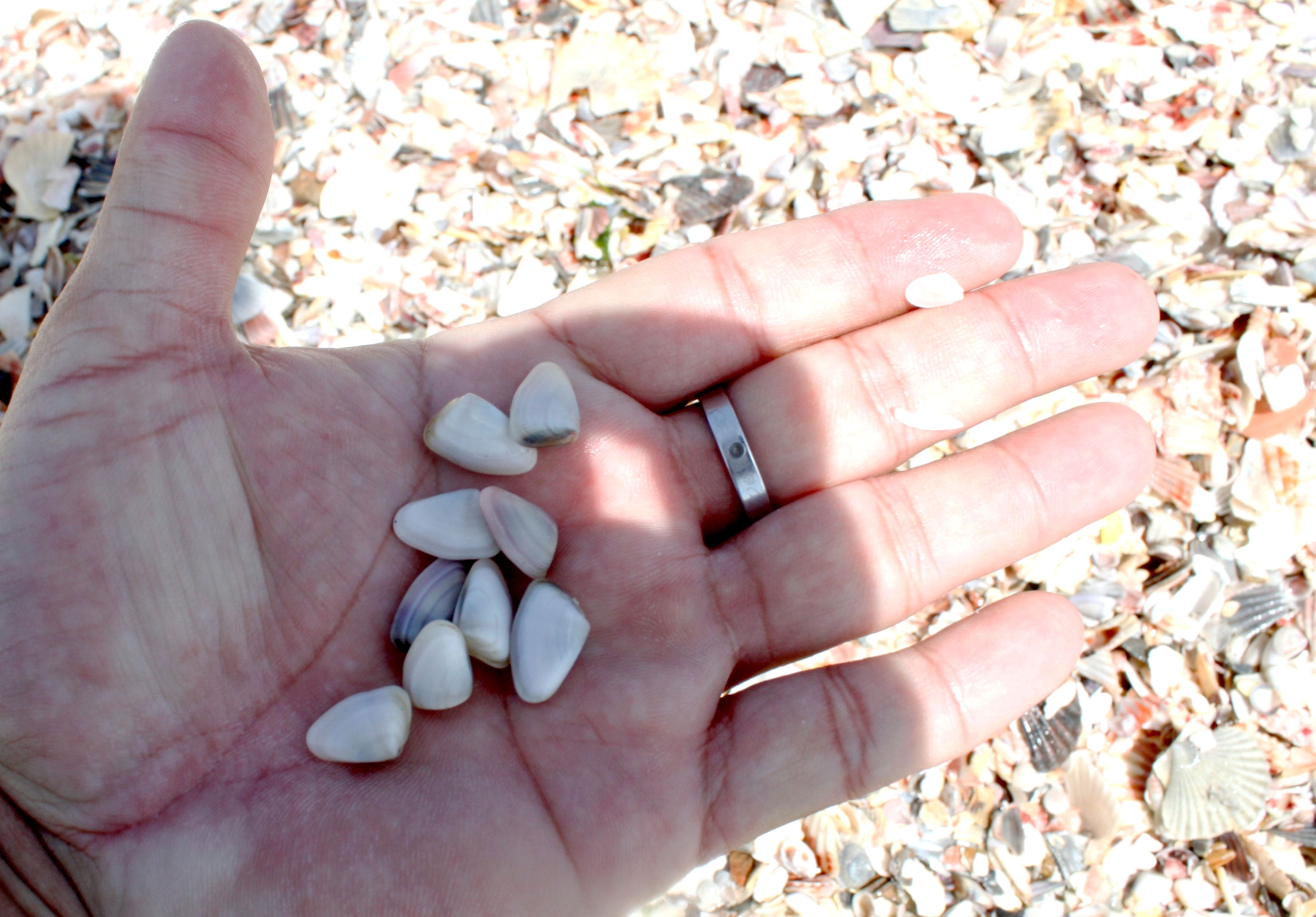 Kiem 500.000 dong/ngay bang nghe cao chang chang o Mui Ne hinh anh