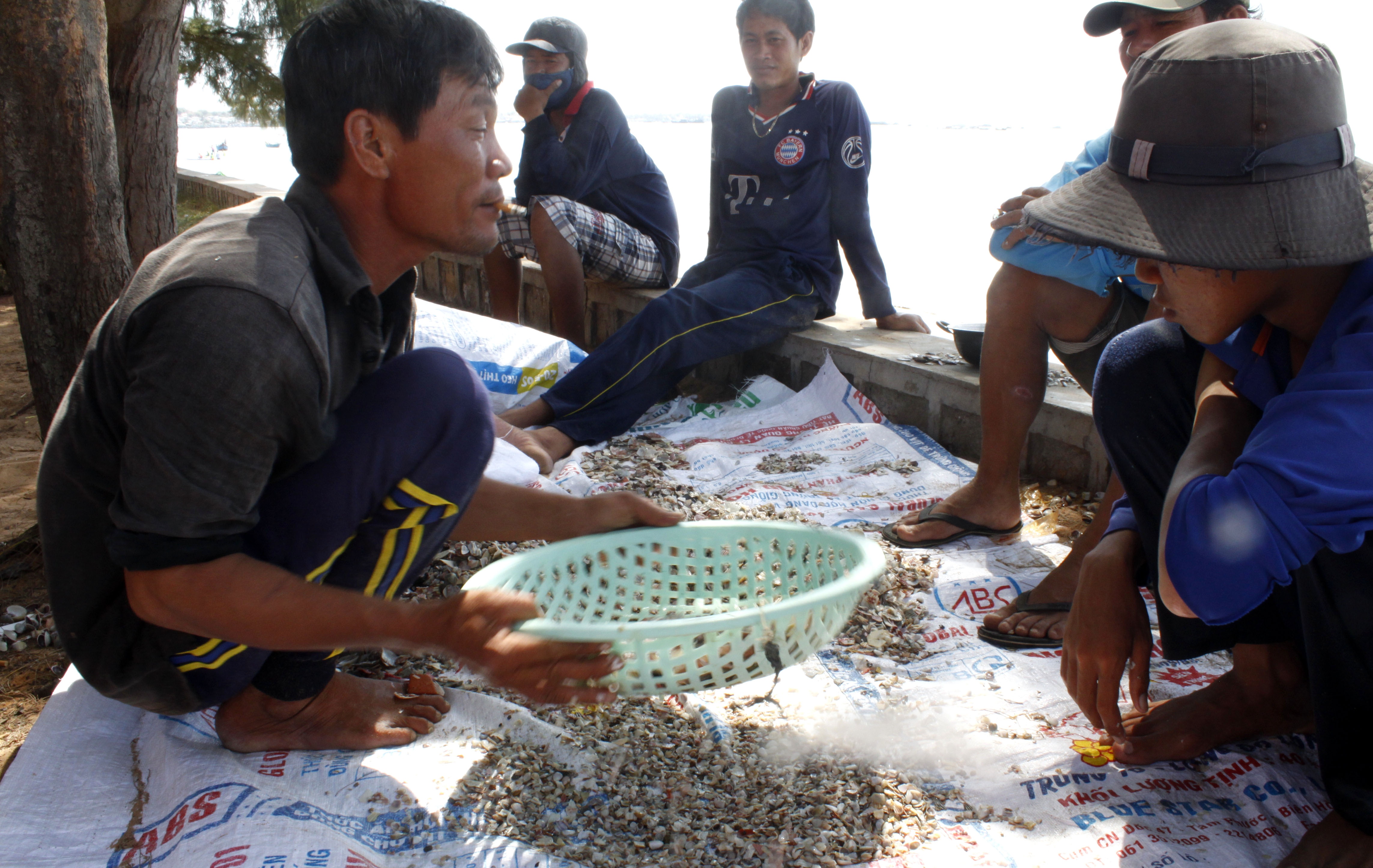 Ngu dan Binh Thuan thu nhap cao nho cao chang chang anh 2