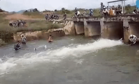 Ca nhay len bo, dan Binh Thuan tranh nhau bat hinh anh