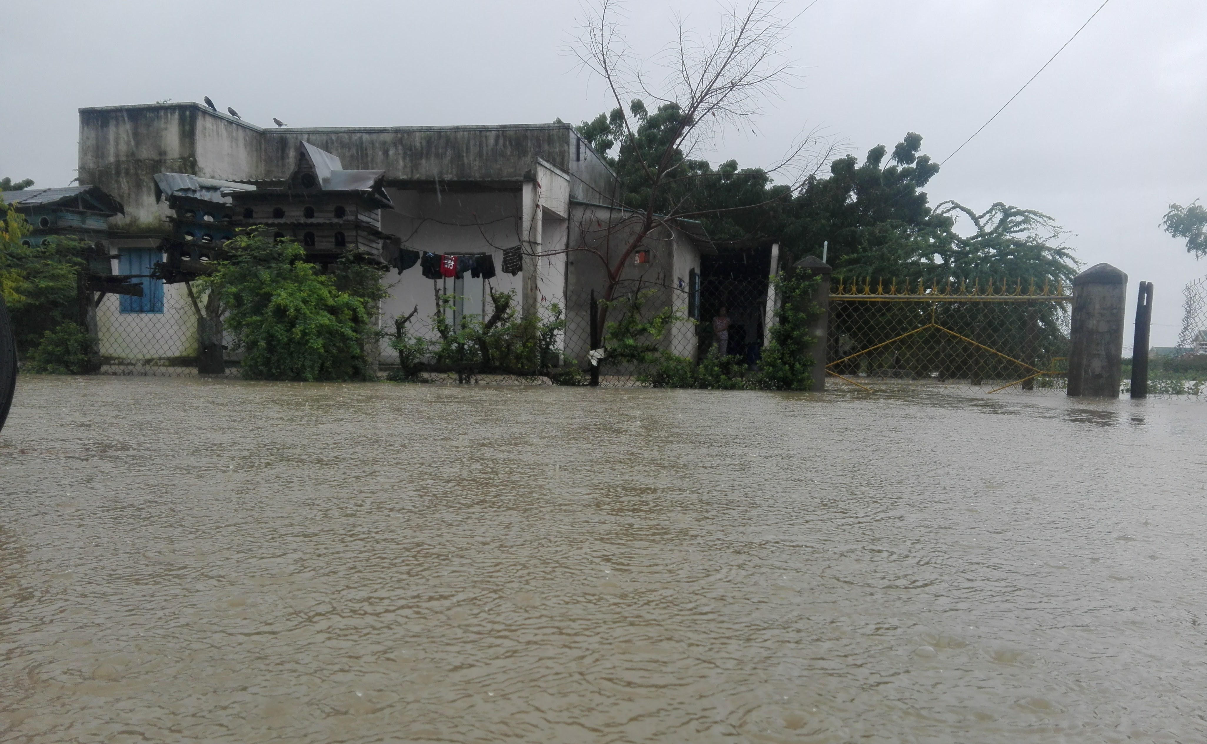 Mưa lớn kéo dài, người dân Ninh Thuận bì bõm trong nước ảnh 2 Mua lon keo dai, nguoi dan Ninh Thuan bi bom trong nuoc anh 2