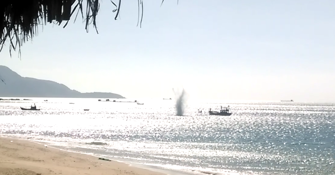 Tan diet hai hai bang chat no ngay sat bo bien Binh Thuan hinh anh