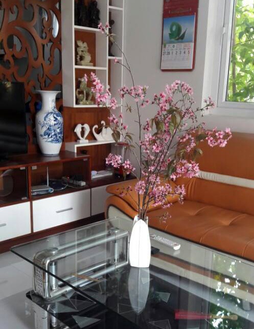 ho giam doc So khang dinh khong be hoa mai anh dao anh 3