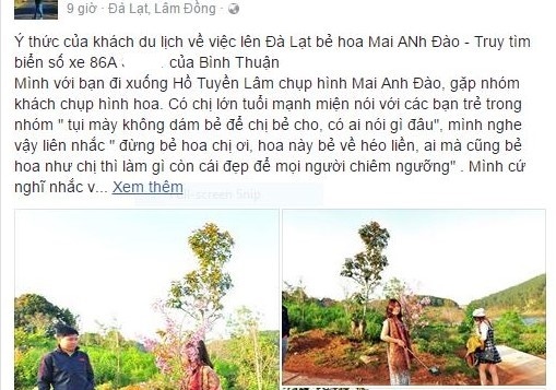 ho giam doc So khang dinh khong be hoa mai anh dao anh 2