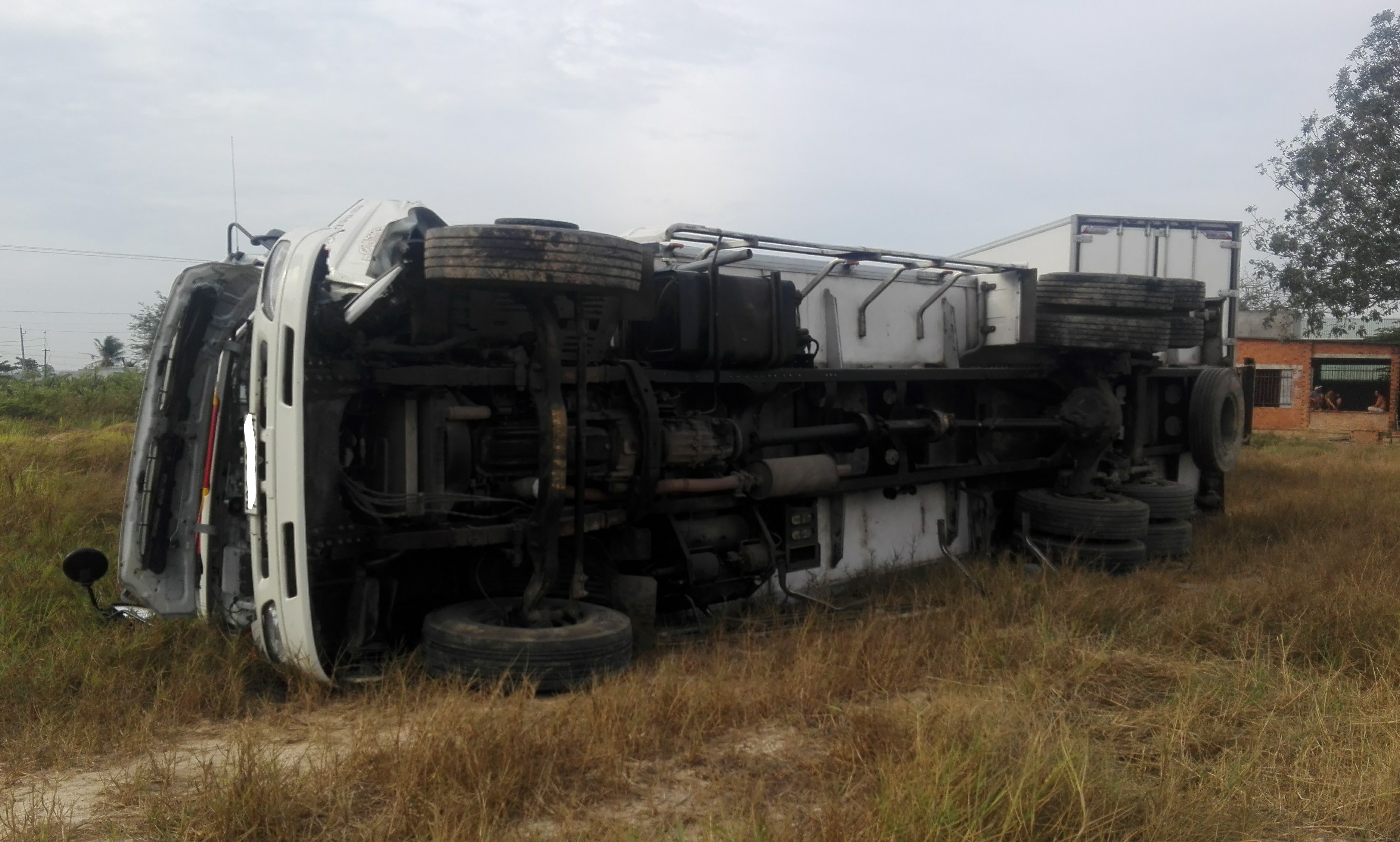 Xe tải chở cá gây tai nạn liên hoàn rồi lật ngang dưới ruộng ảnh 1 Xe tai cho ca gay tai nan lien hoan roi lat ngang duoi ruong anh 1