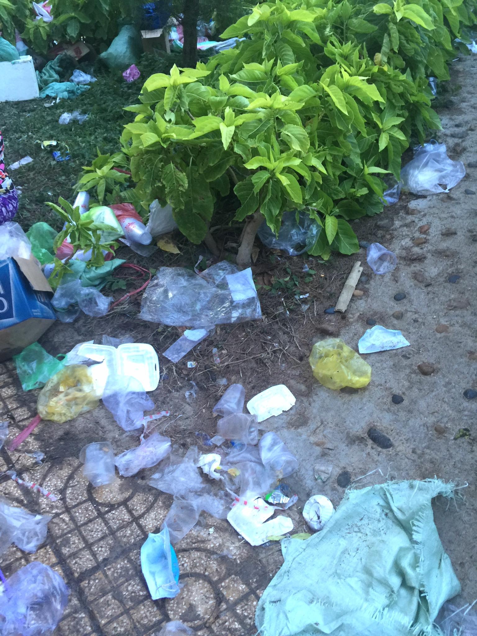 Biển Đồi Dương Phan Thiết đông nghịt khách và ngập rác ảnh 2 Bien Doi Duong Phan Thiet dong nghit khach va ngap rac anh 2