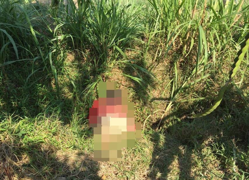 Nguoi lam vuon chet bat thuong duoi muong nuoc can hinh anh