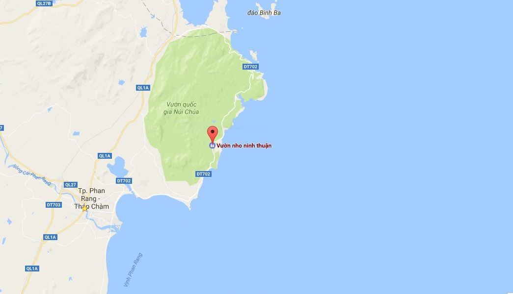 Nho Ninh Thuan gia cao gap 1, 5 lan nhung mat mua anh 3