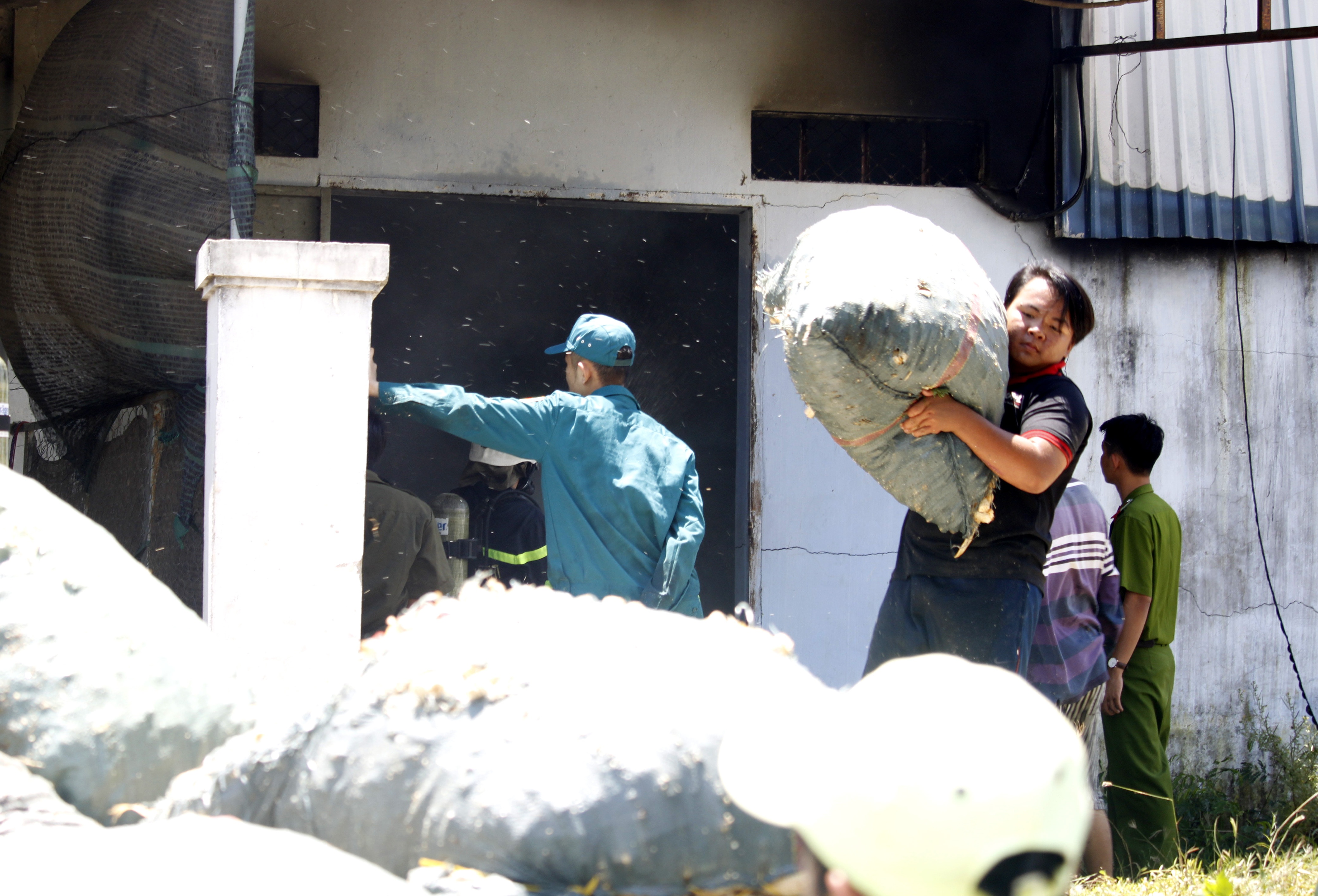 Chay nha may ba mia anh 2