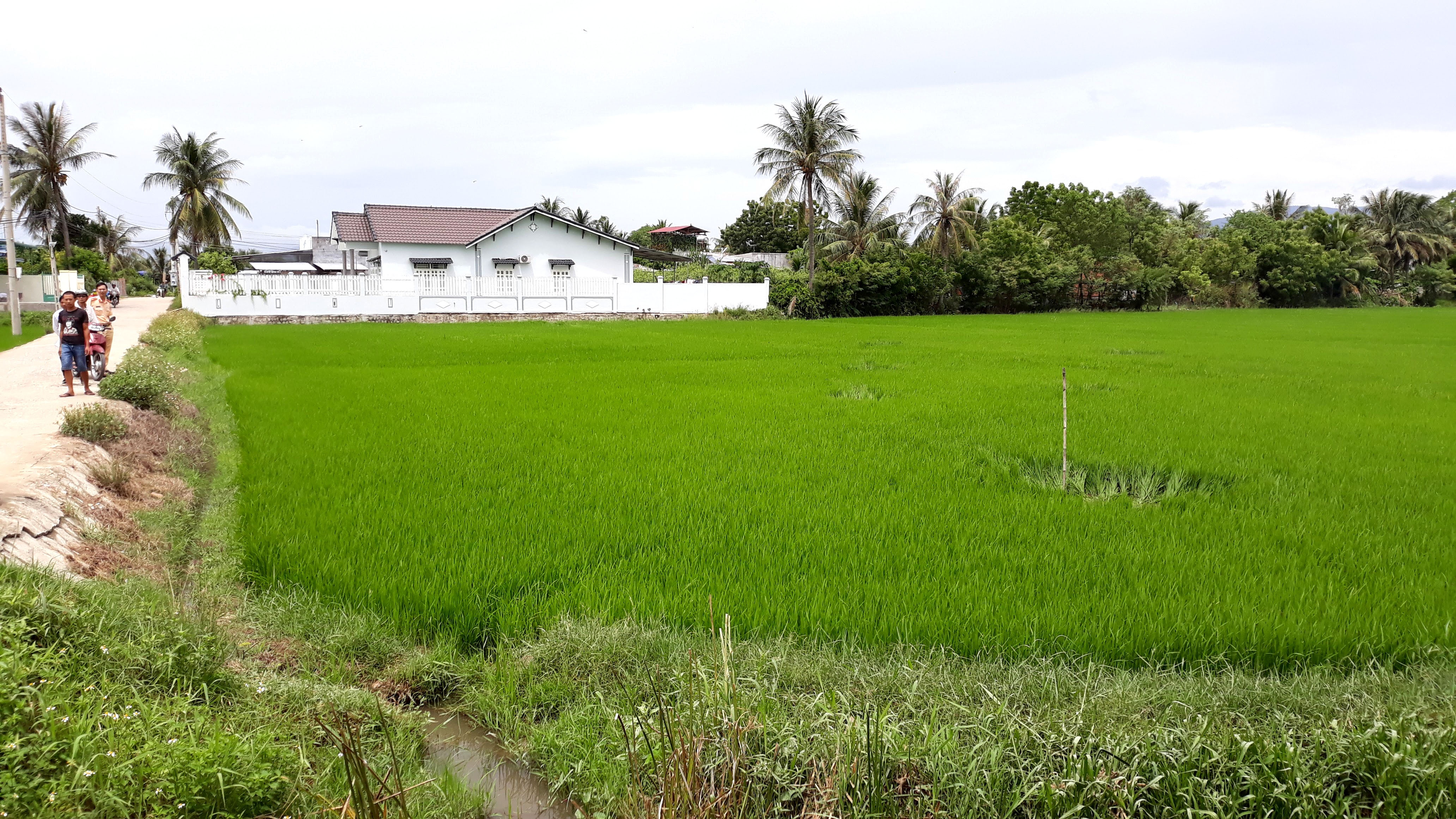 nhieu nha dan hu hong nang sau tieng no tren troi anh 6