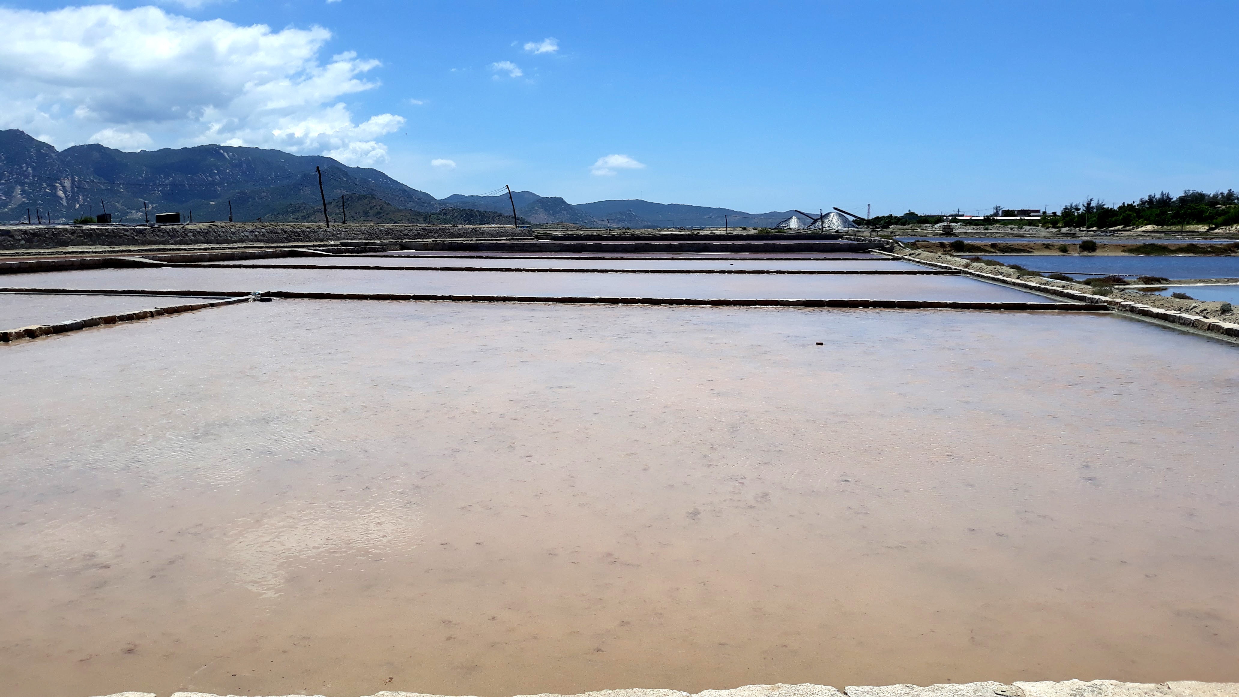 muoi ninh thuan tang gia,  diem dan khong co ban vi mua keo dai anh 2