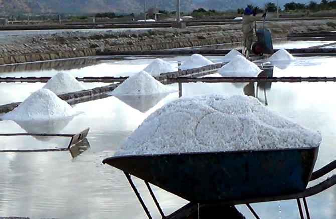 Ruong ngap nuoc, gia muoi Ninh Thuan tang gap doi hinh anh