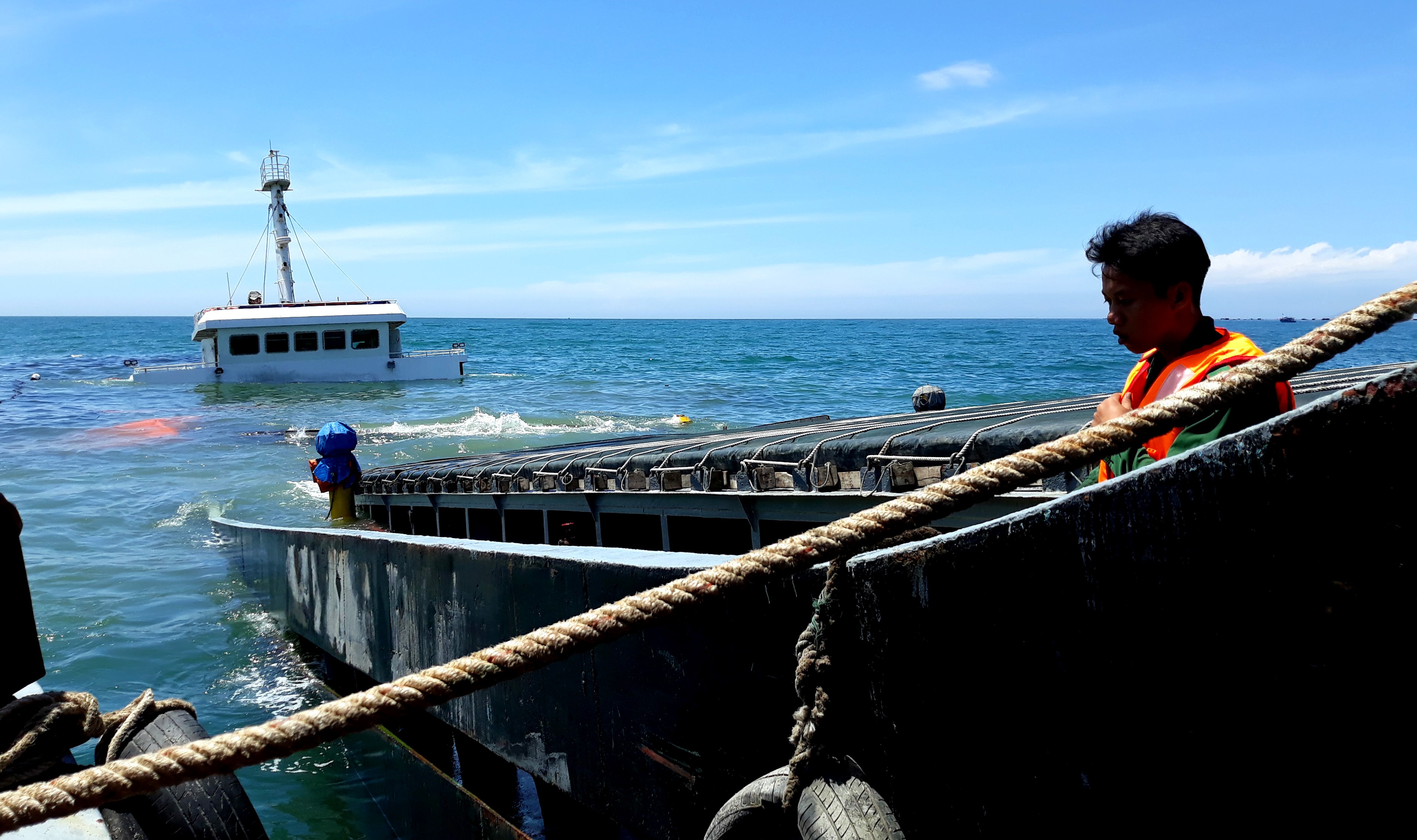 Can canh tau cho hang chim cach bo bien ninh chu 500 m anh 5