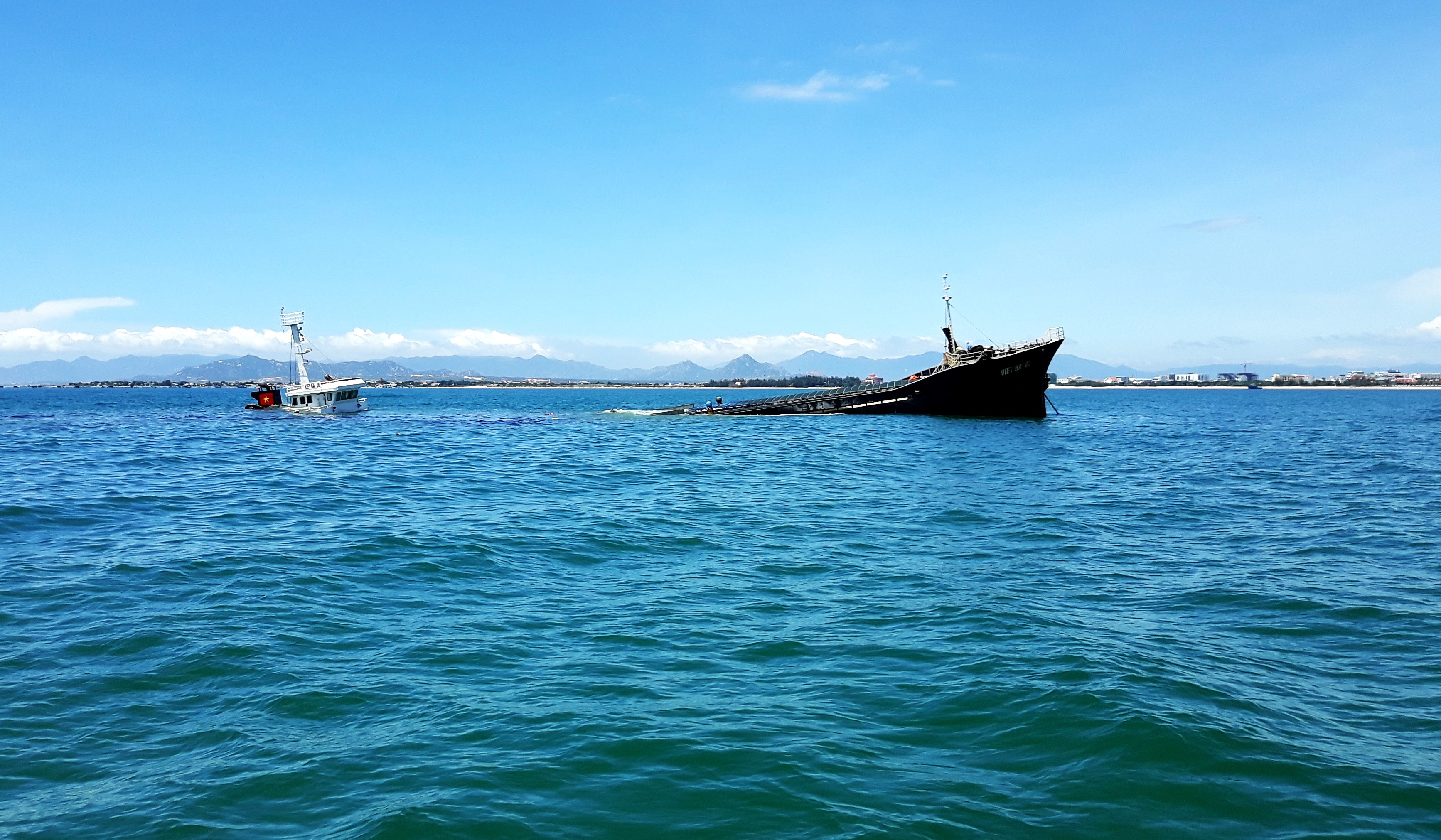 Can canh tau cho hang chim cach bo bien ninh chu 500 m anh 1