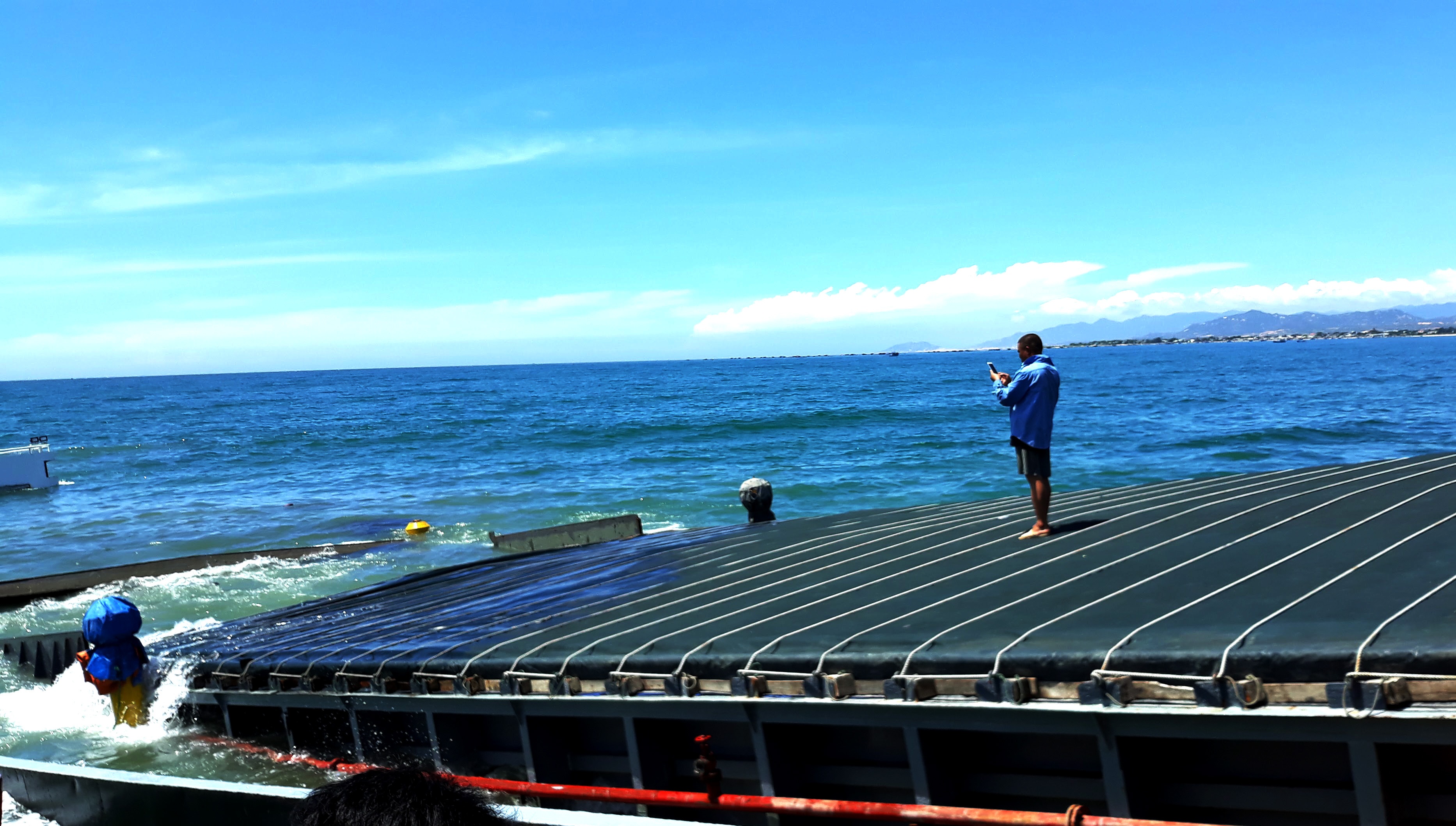 Can canh tau cho hang chim cach bo bien ninh chu 500 m anh 7