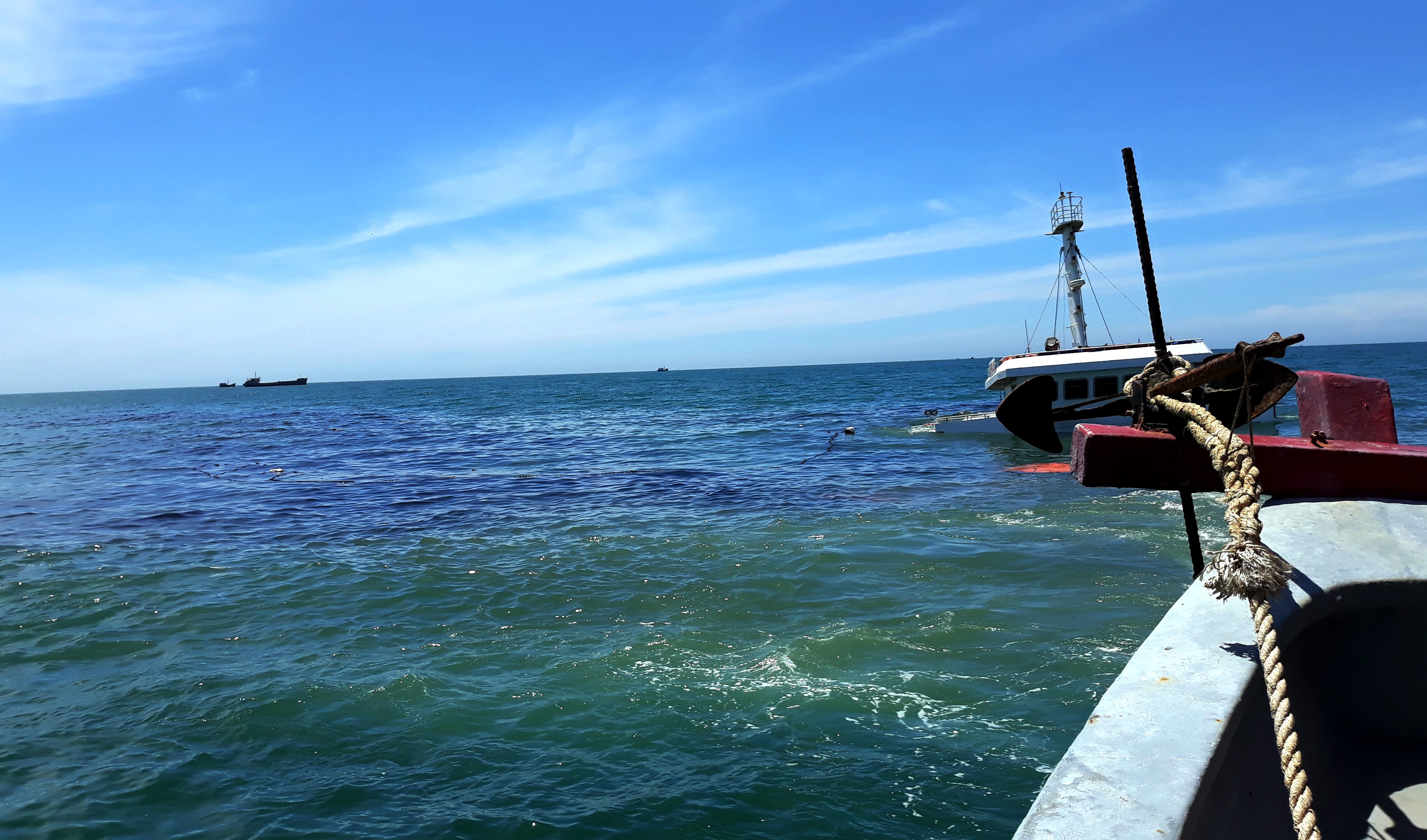 Ninh Thuận đề nghị khẩn trương hỗ trợ ứng cứu sự cố tràn dầu ảnh 2 Ninh Thuan de nghi khan truong ho tro ung cuu su co tran dau anh 2