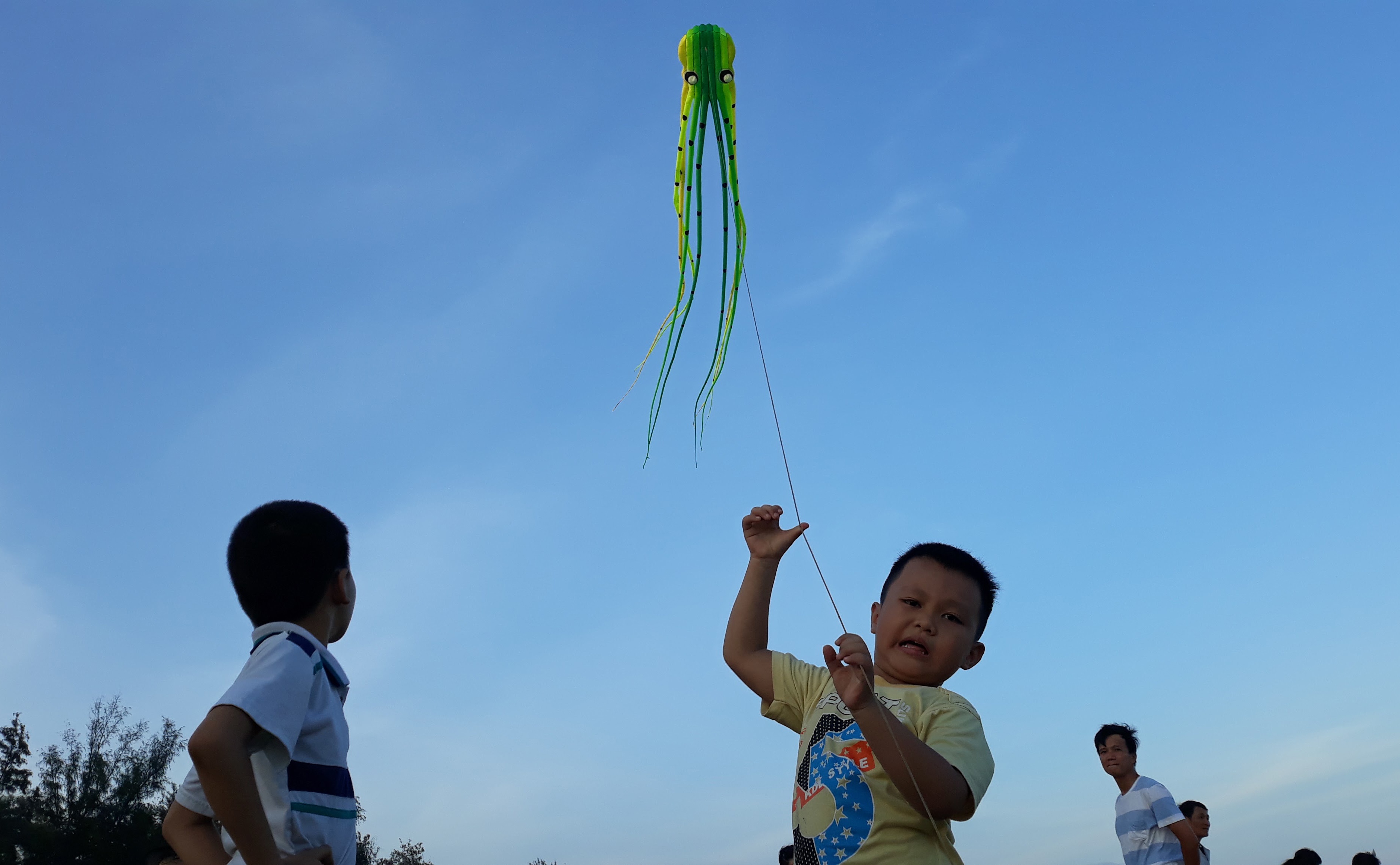 Hon 40.000 luot du khach den Binh Thuan anh 6