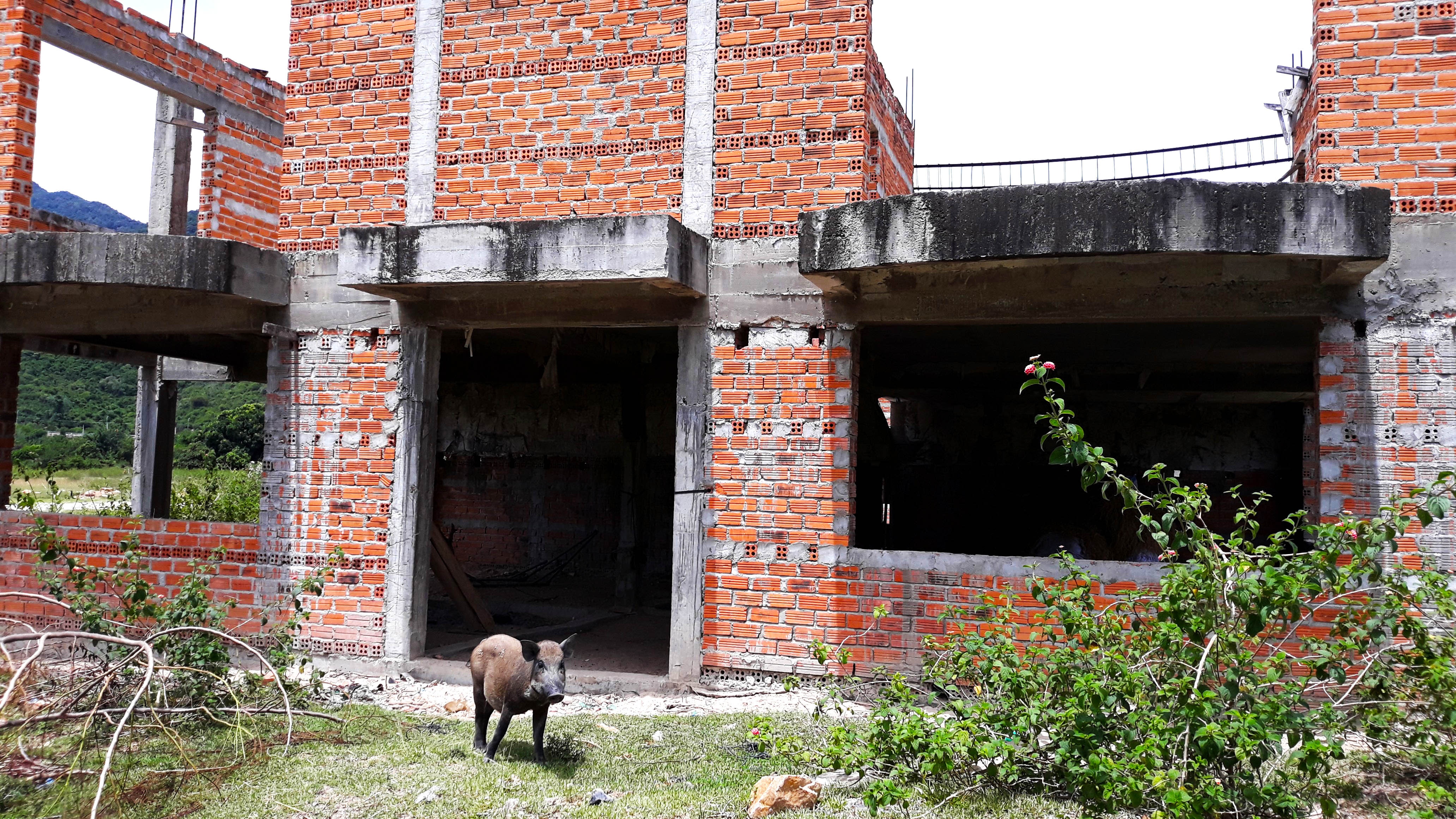 Khu du lich Binh Tien 2.500 ty hoang dai sau 12 nam cap phep hinh anh