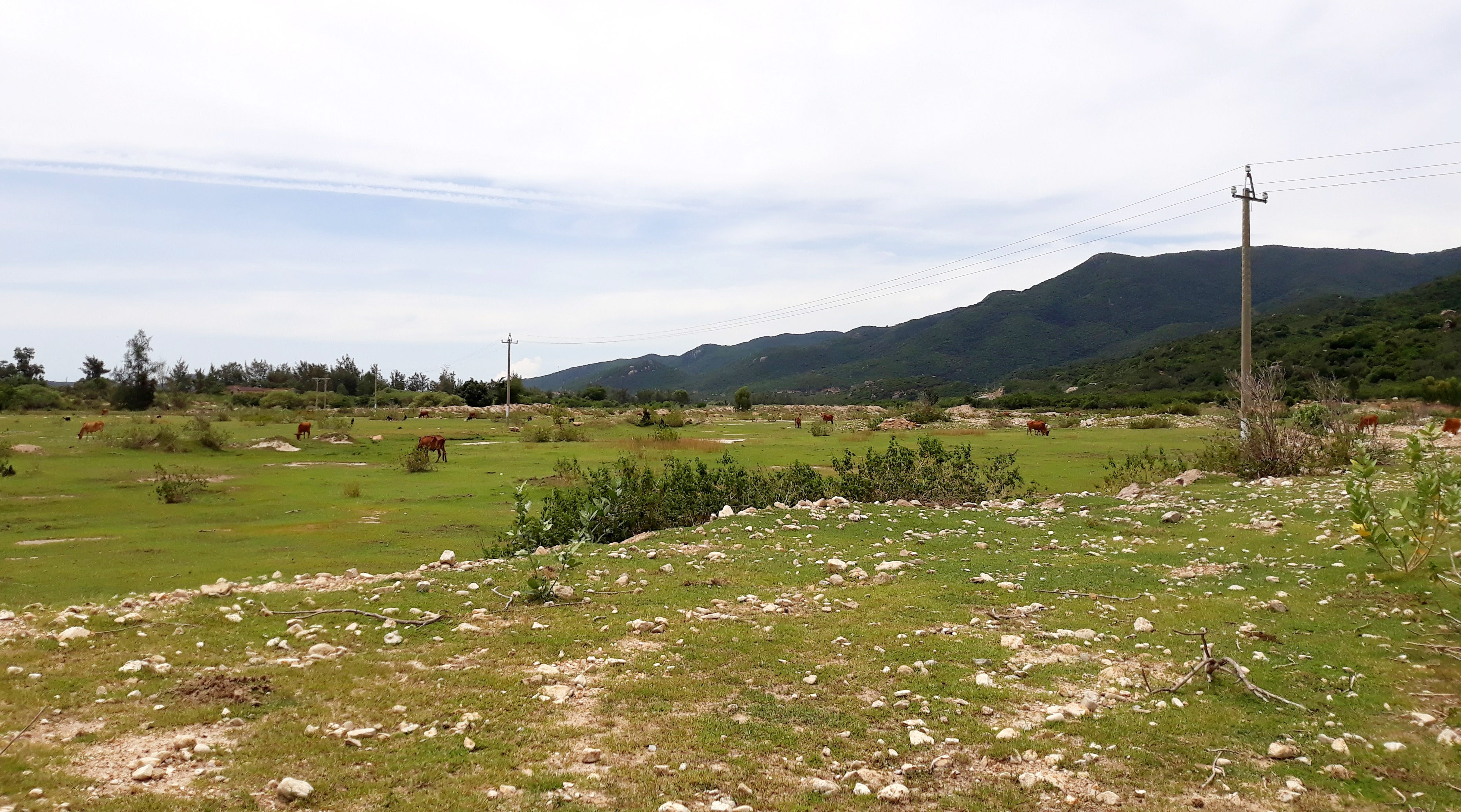 khu du lich 2.500 ty bo hoang anh 12