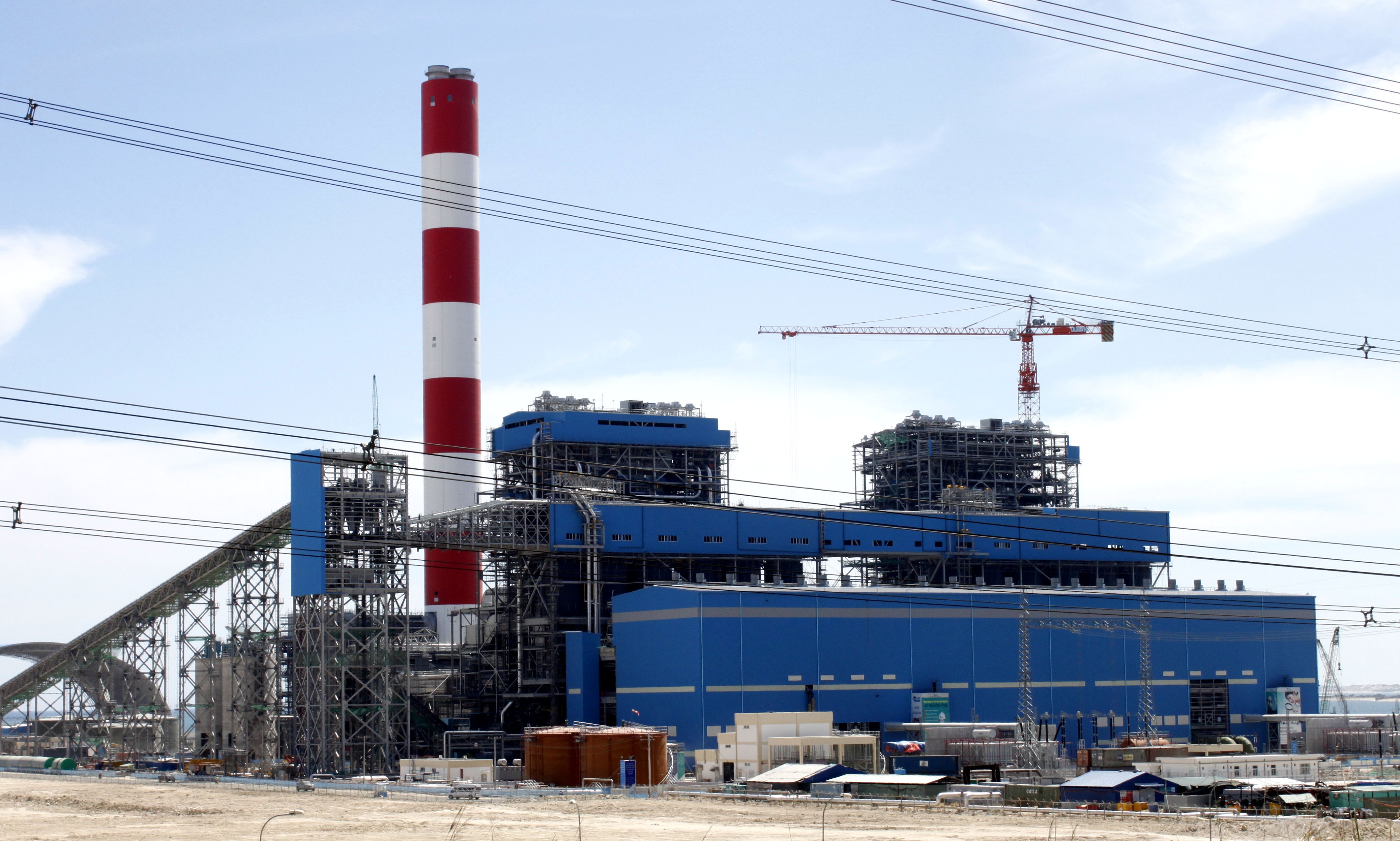 Hai san chet bat thuong, day bien Vinh Tan co lop bun boi lang hinh anh