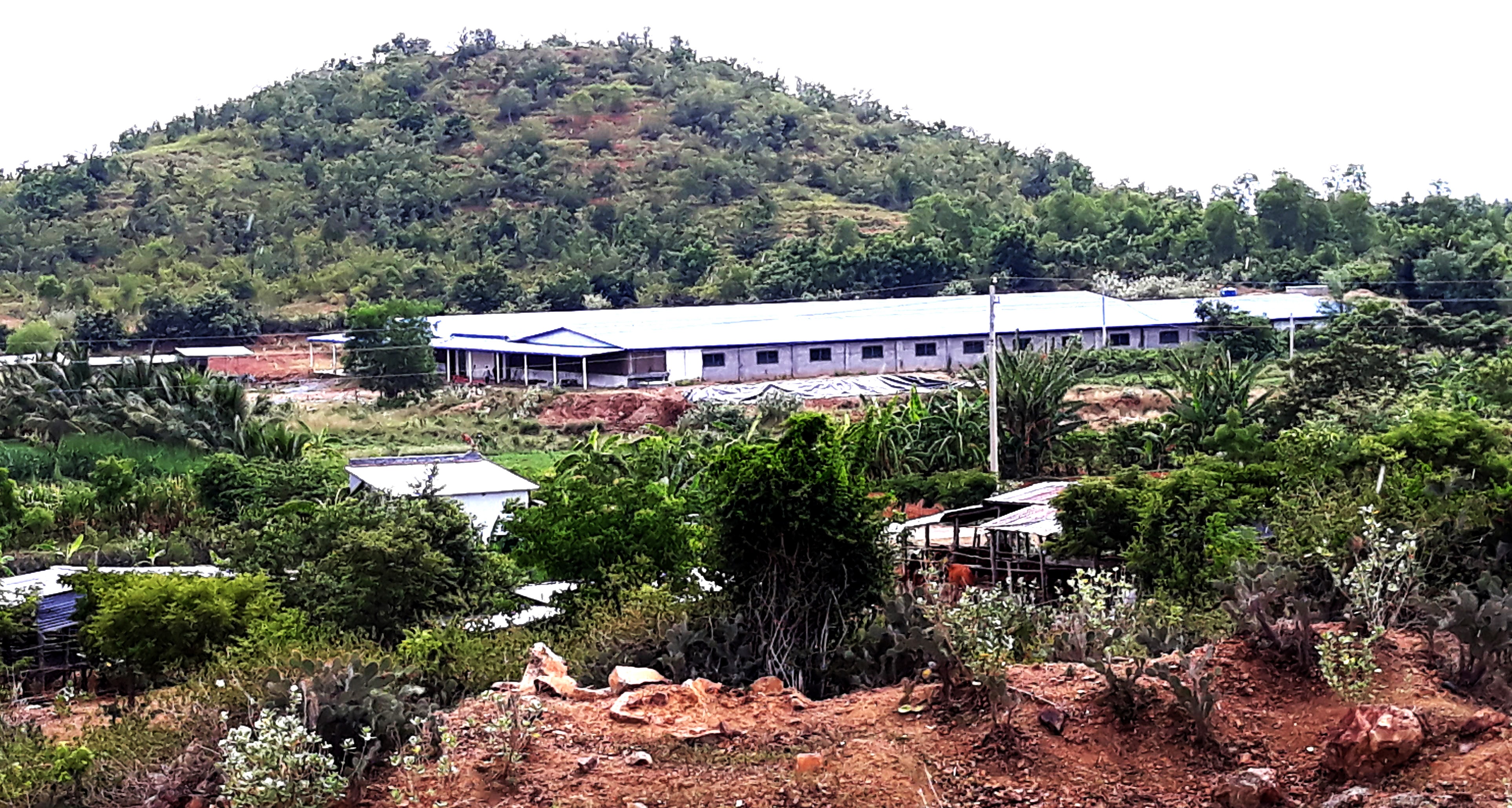 học sinh bịt mũi ngồi học vì hôi thối ảnh 1 hoc sinh bit mui ngoi hoc vi hoi thoi anh 1