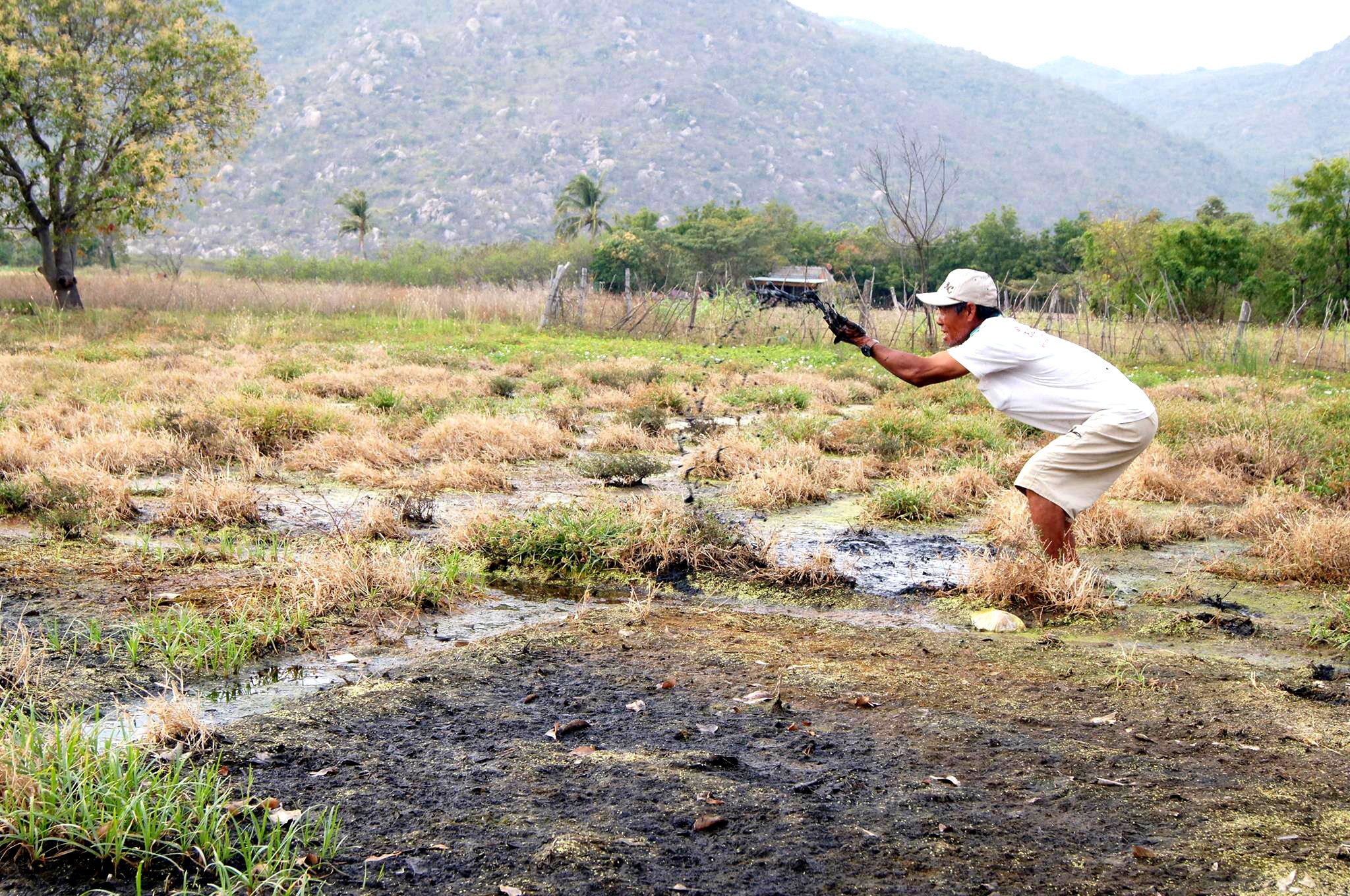 đất nhiễm mặn tại bãi xỉ do con người ảnh 2 dat nhiem man tai bai xi do con nguoi anh 2