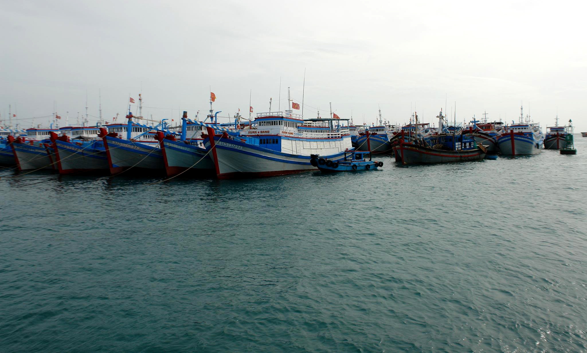 Lo thieu cho cho tau tranh bao hinh anh