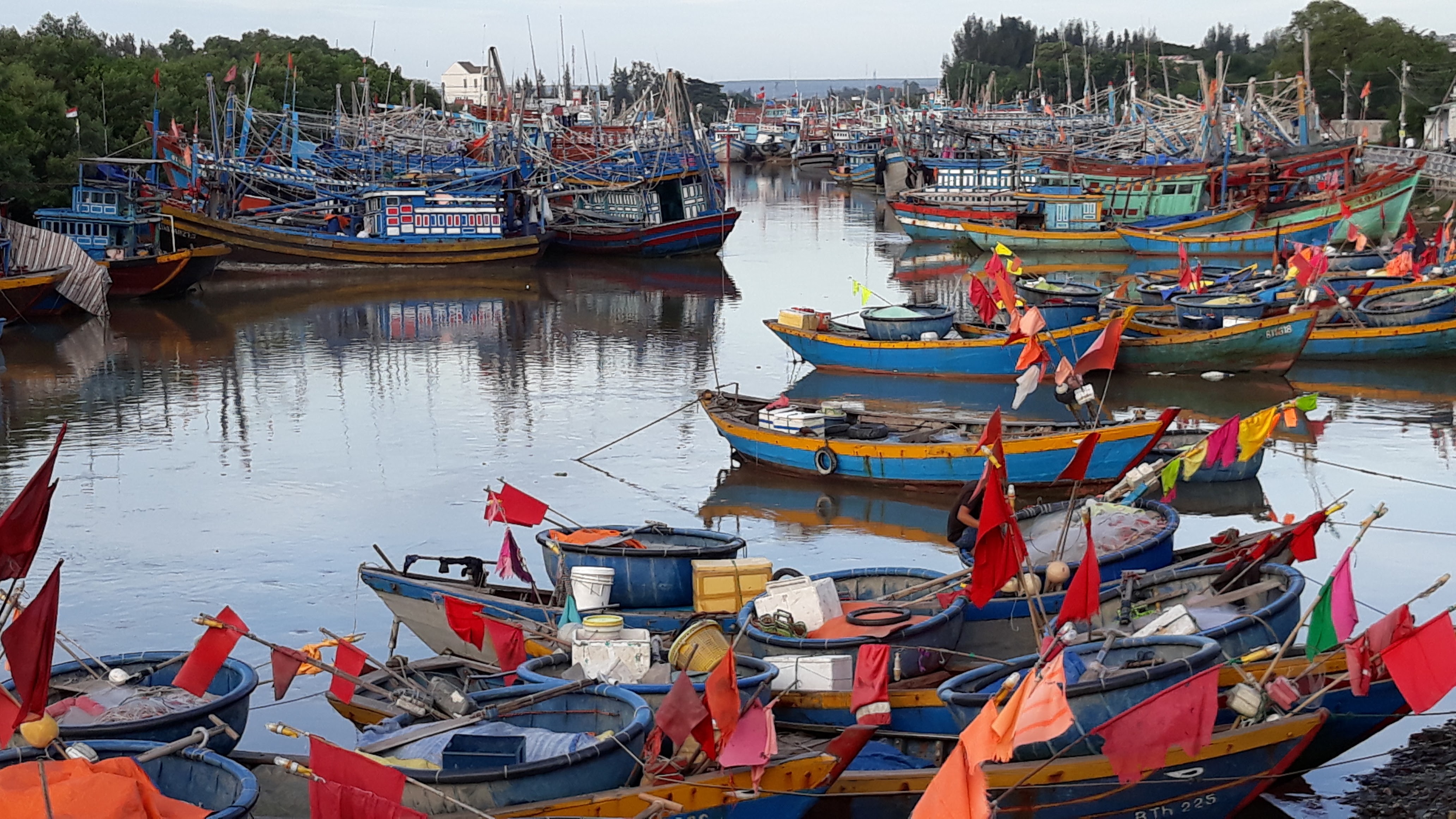 Binh Thuan yen binh truoc thoi khac bao so 12 - Damrey do bo hinh anh