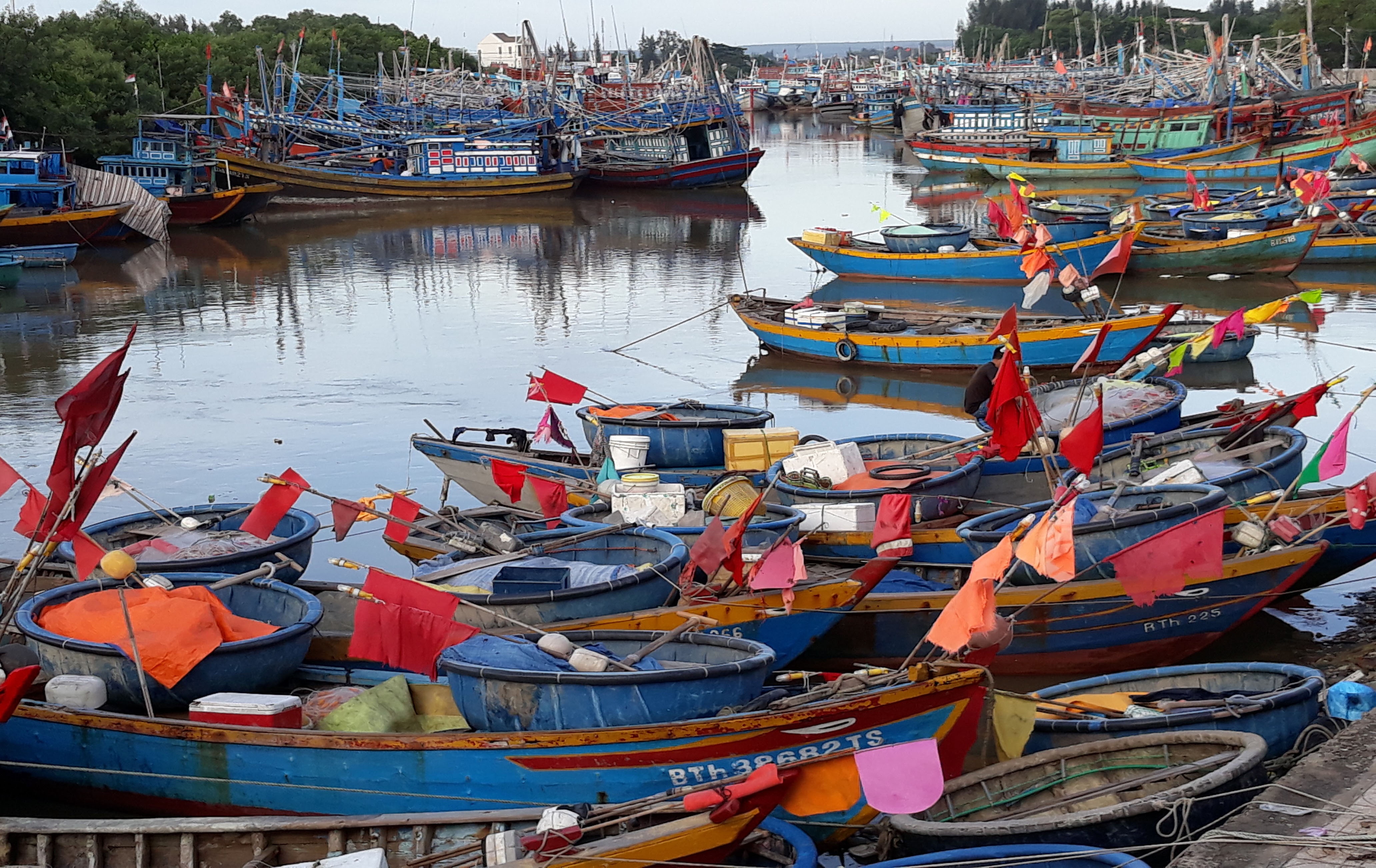 ninh thuận thiệt hại không kể do bão ảnh 2 ninh thuan thiet hai khong ke do bao anh 2