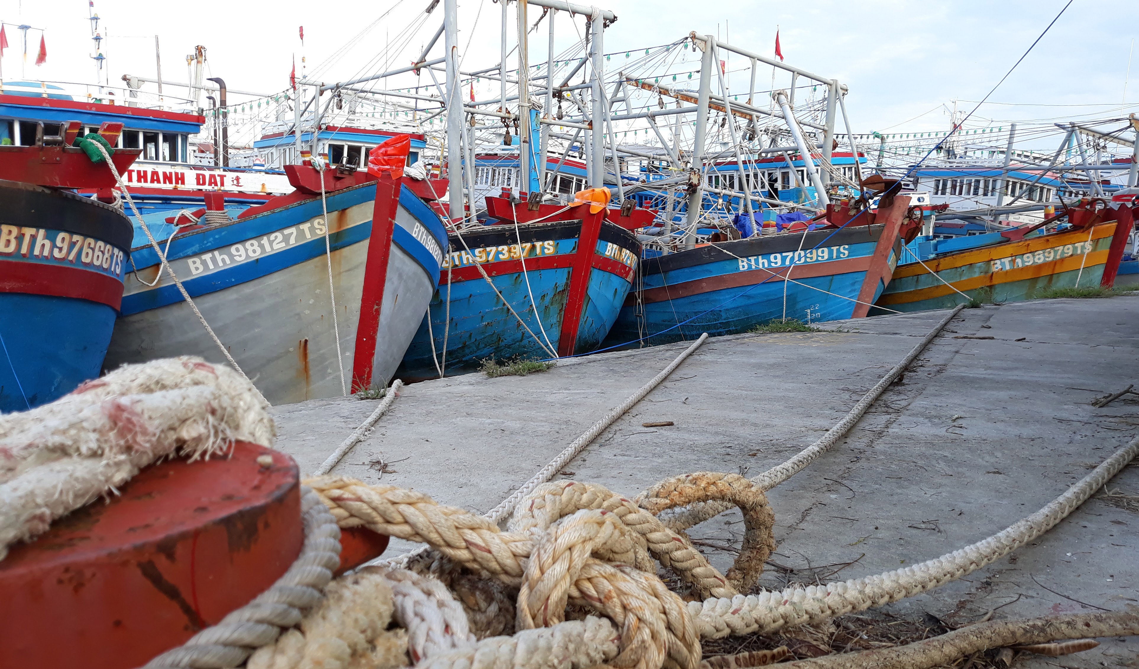 Ninh Thuan - Binh Thuan go lenh cam bien hinh anh
