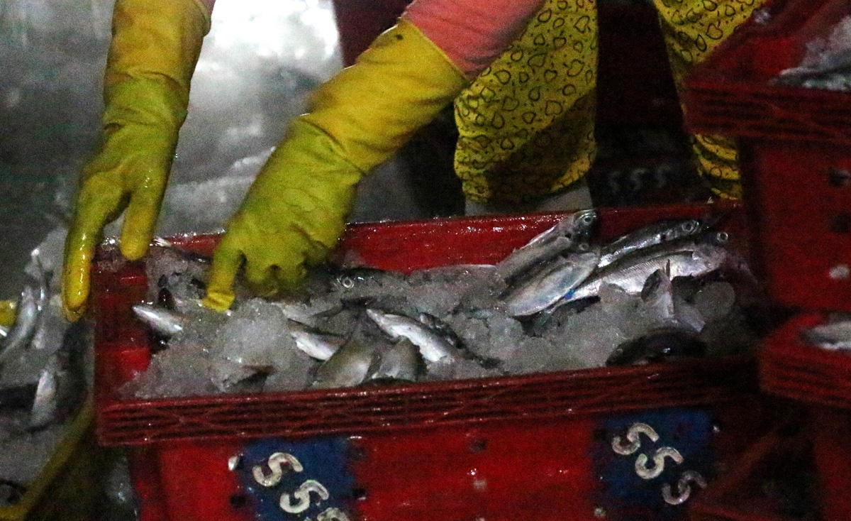 Ngu dan chay dua dua hai san ve bo truoc khi bao so 14 do bo hinh anh