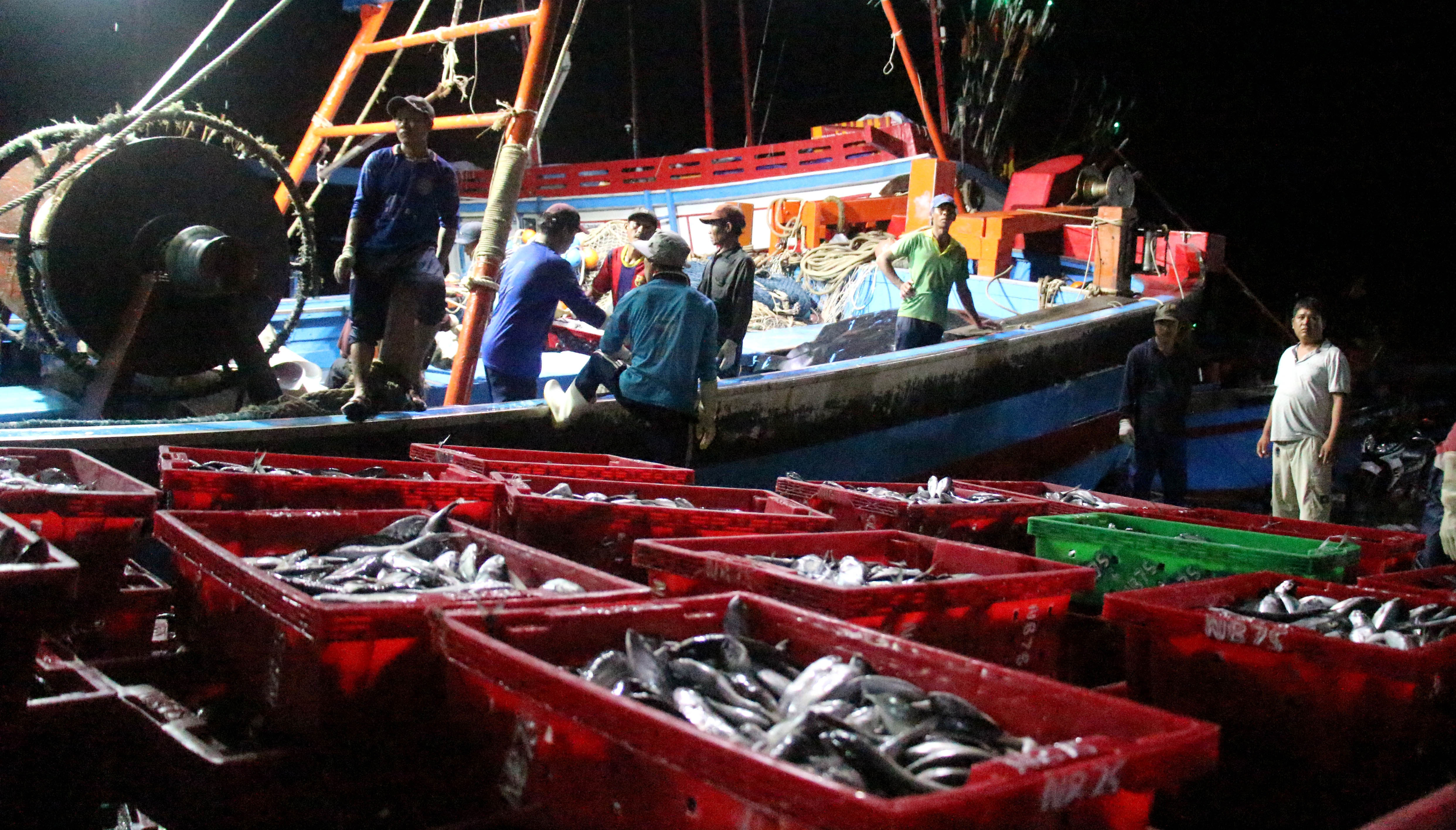 chuyến hàng cuối cùng trước bão số 14 ảnh 1 chuyen hang cuoi cung truoc bao so 14 anh 1