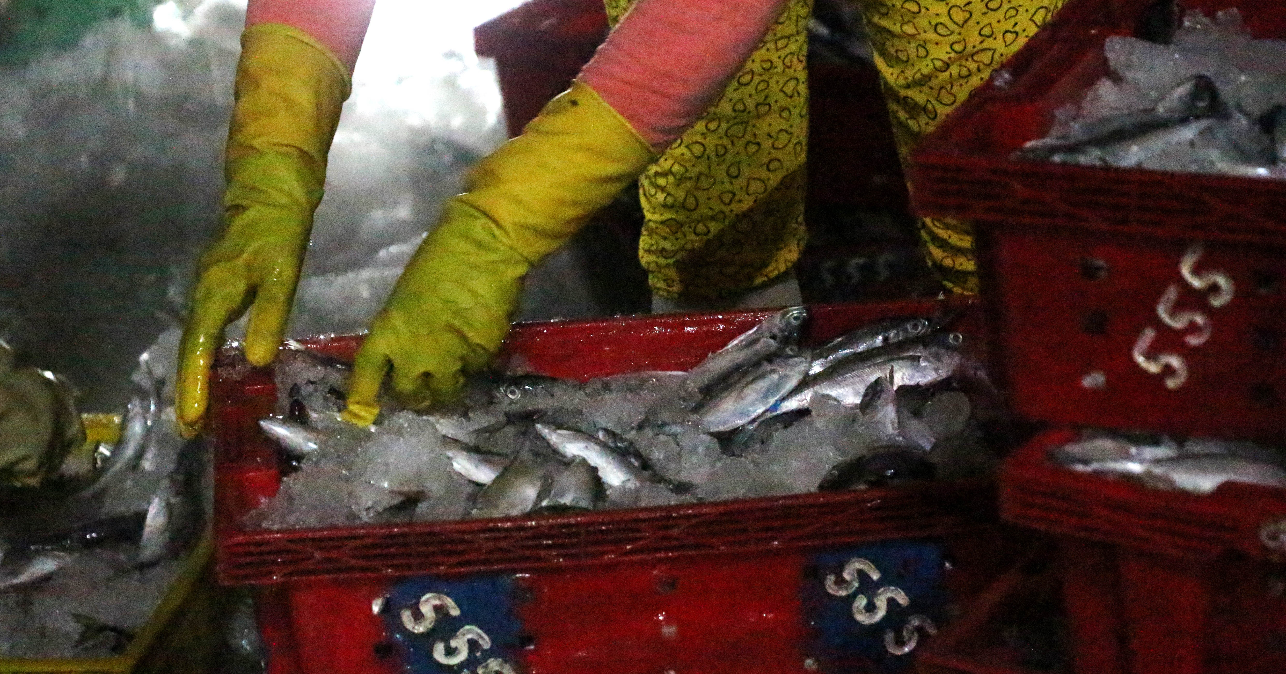 chuyến hàng cuối cùng trước bão số 14 ảnh 6 chuyen hang cuoi cung truoc bao so 14 anh 6