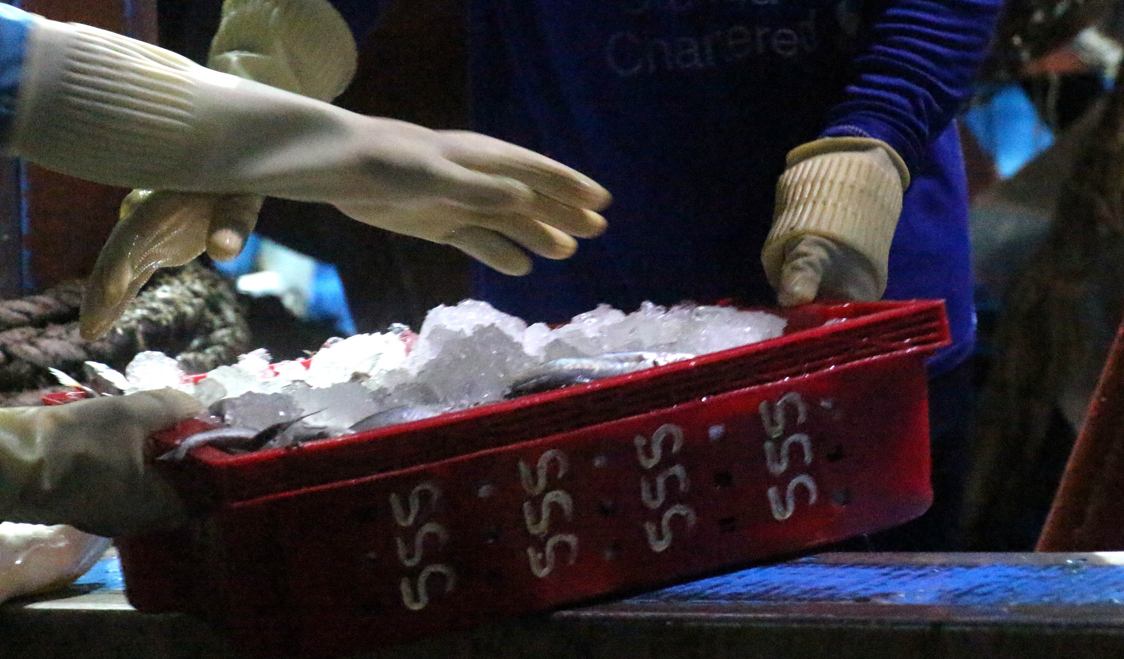 chuyến hàng cuối cùng trước bão số 14 ảnh 3 chuyen hang cuoi cung truoc bao so 14 anh 3