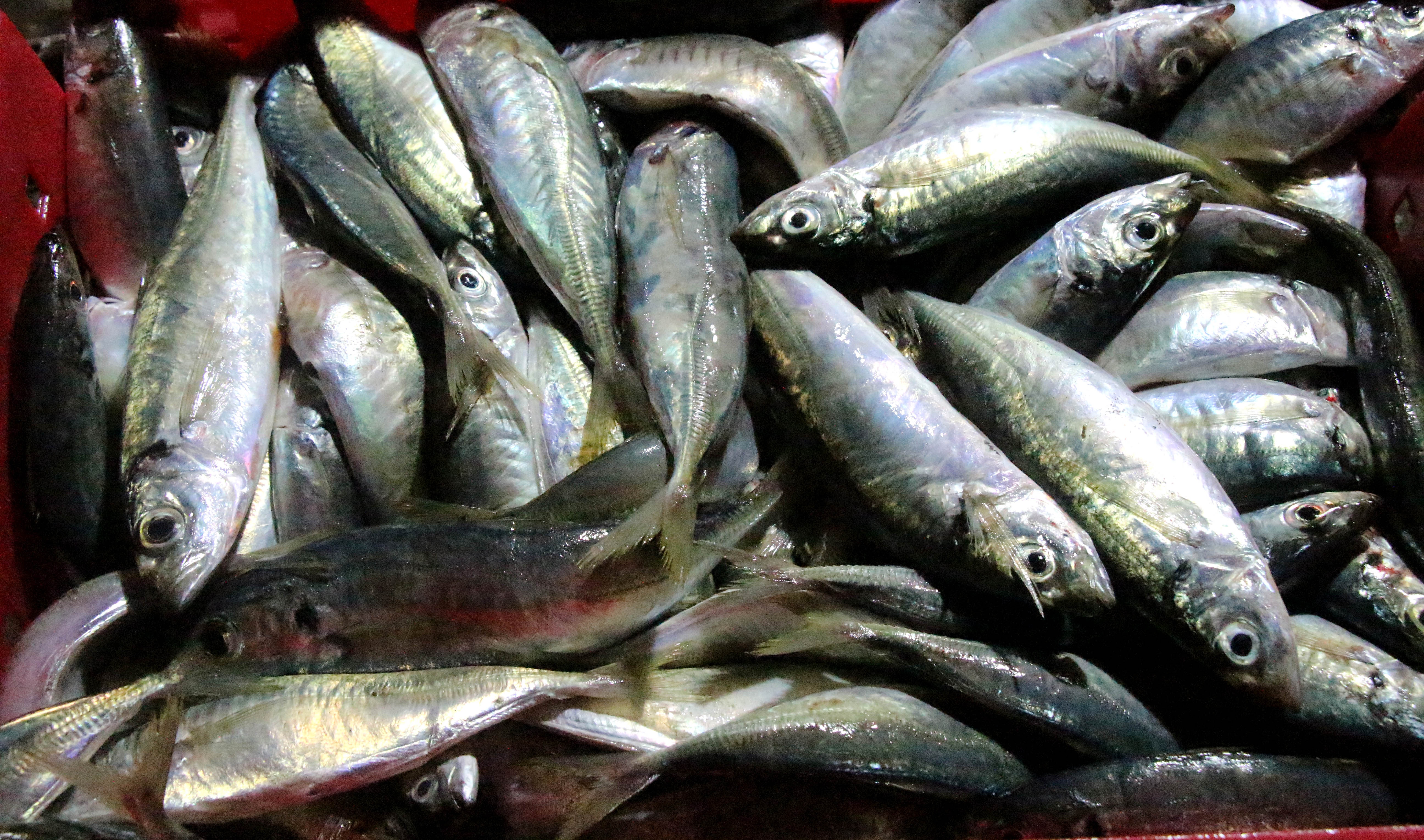 chuyến hàng cuối cùng trước bão số 14 ảnh 8 chuyen hang cuoi cung truoc bao so 14 anh 8