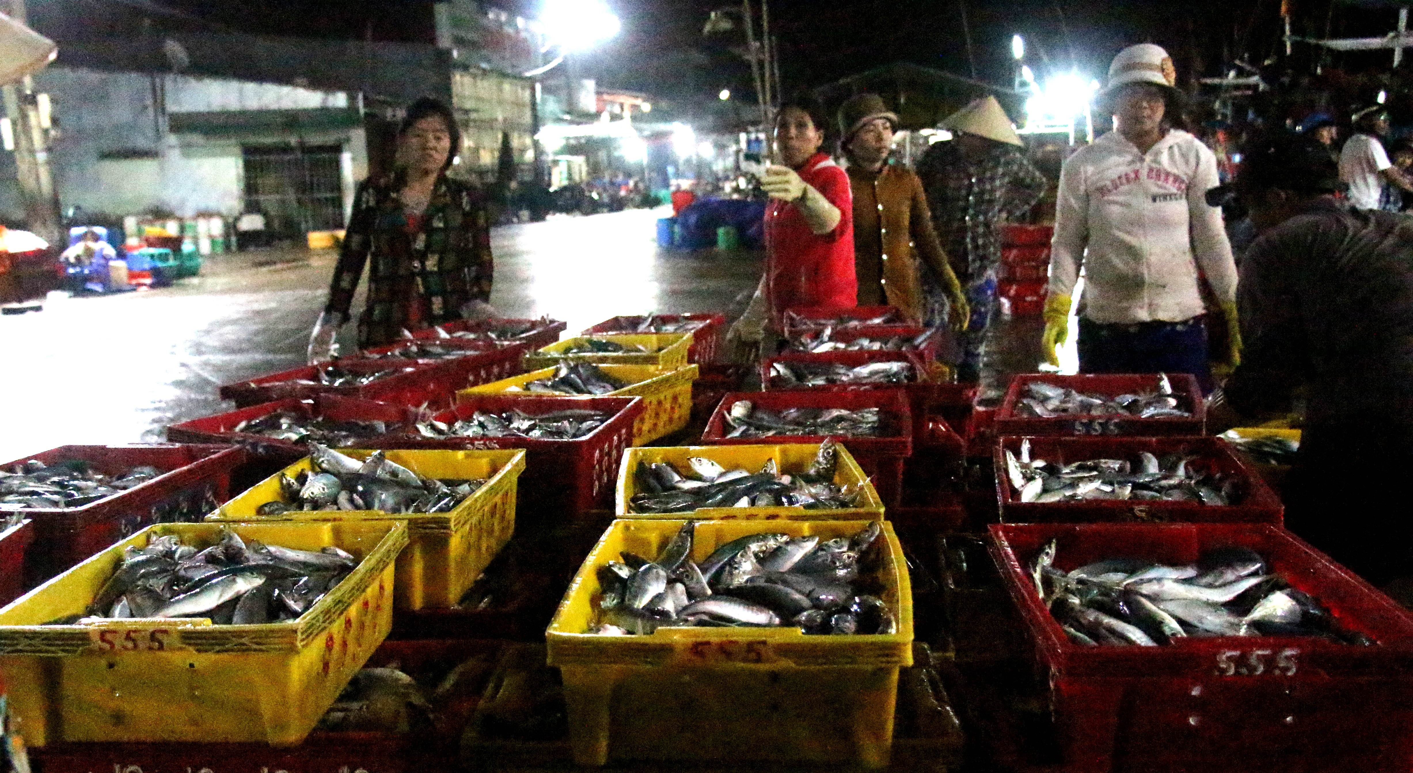 chuyến hàng cuối cùng trước bão số 14 ảnh 4 chuyen hang cuoi cung truoc bao so 14 anh 4