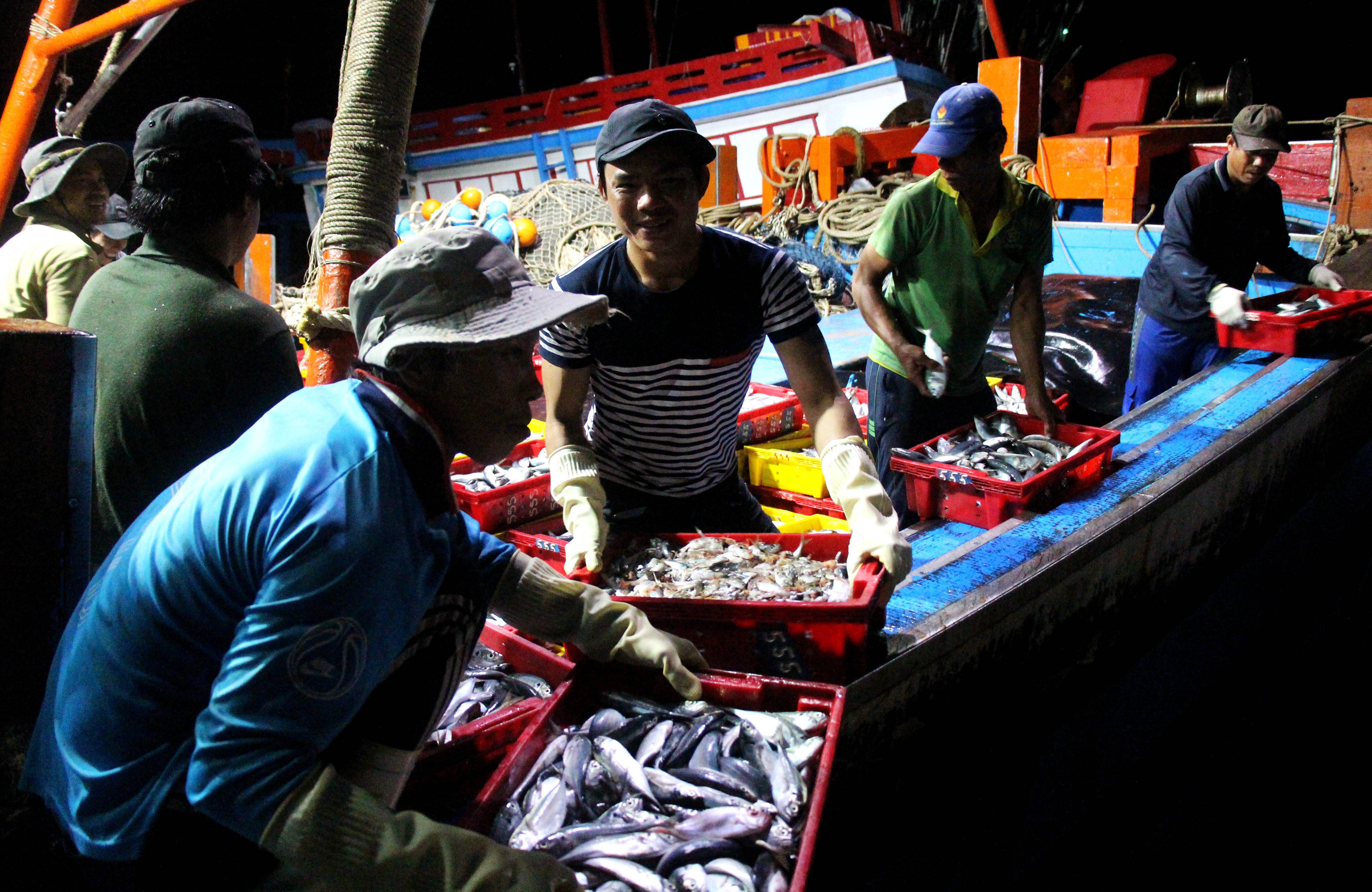 chuyến hàng cuối cùng trước bão số 14 ảnh 2 chuyen hang cuoi cung truoc bao so 14 anh 2