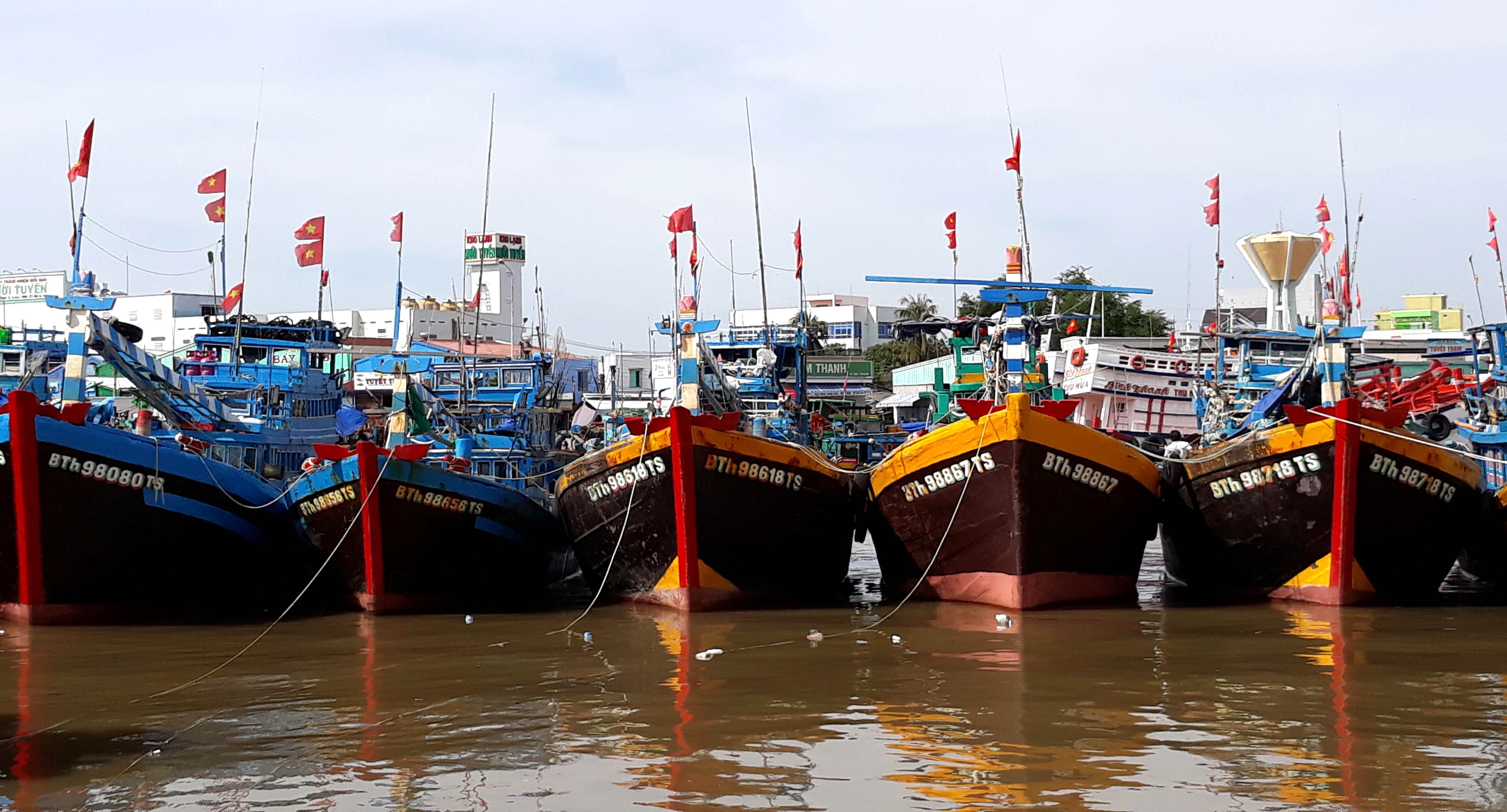 Lo ngai sau bao so 14, Binh Thuan xa tran 13 ho chua nuoc hinh anh